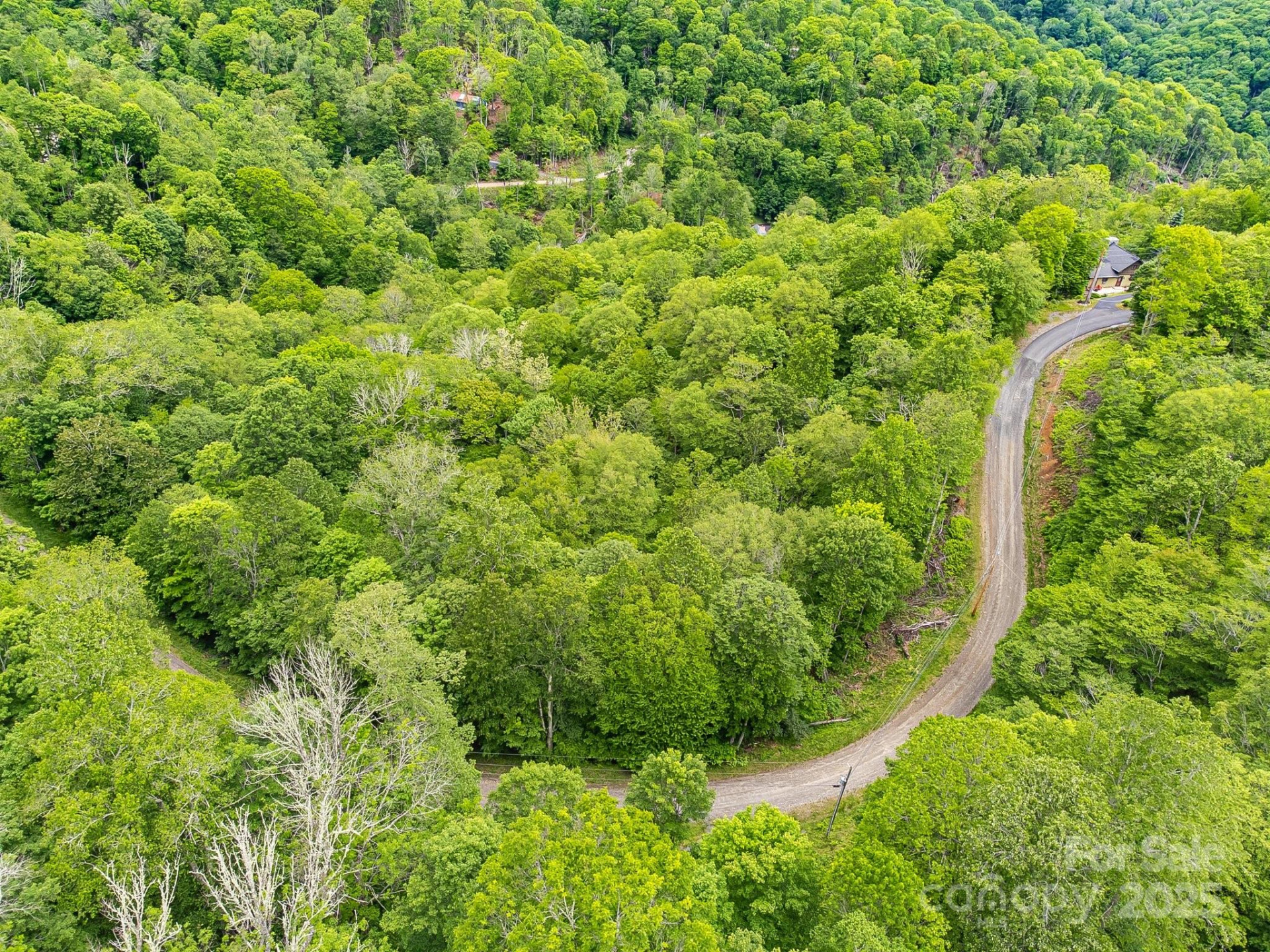 65 Bee Tree Lane - Photo 7