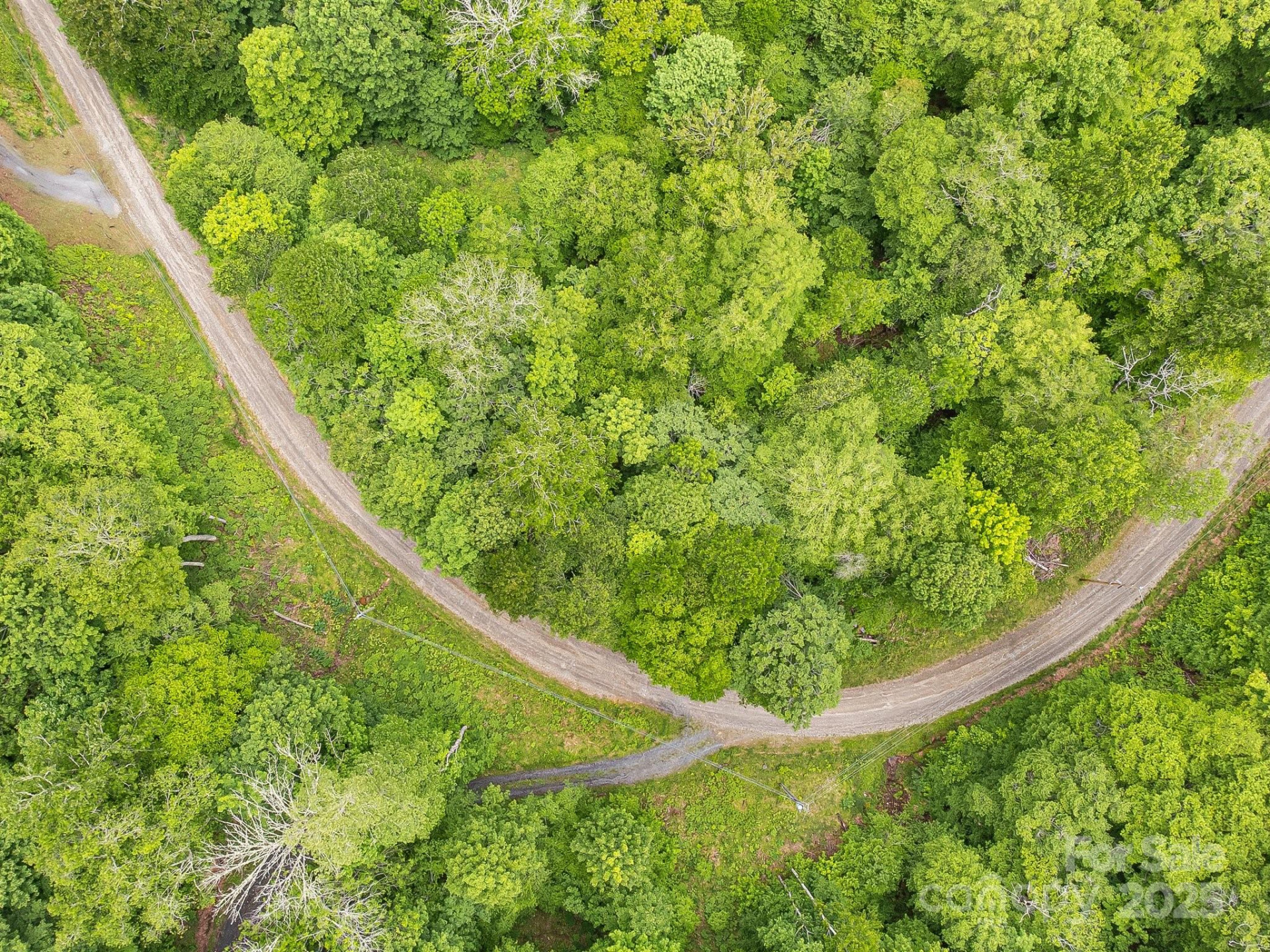 65 Bee Tree Lane - Photo 8