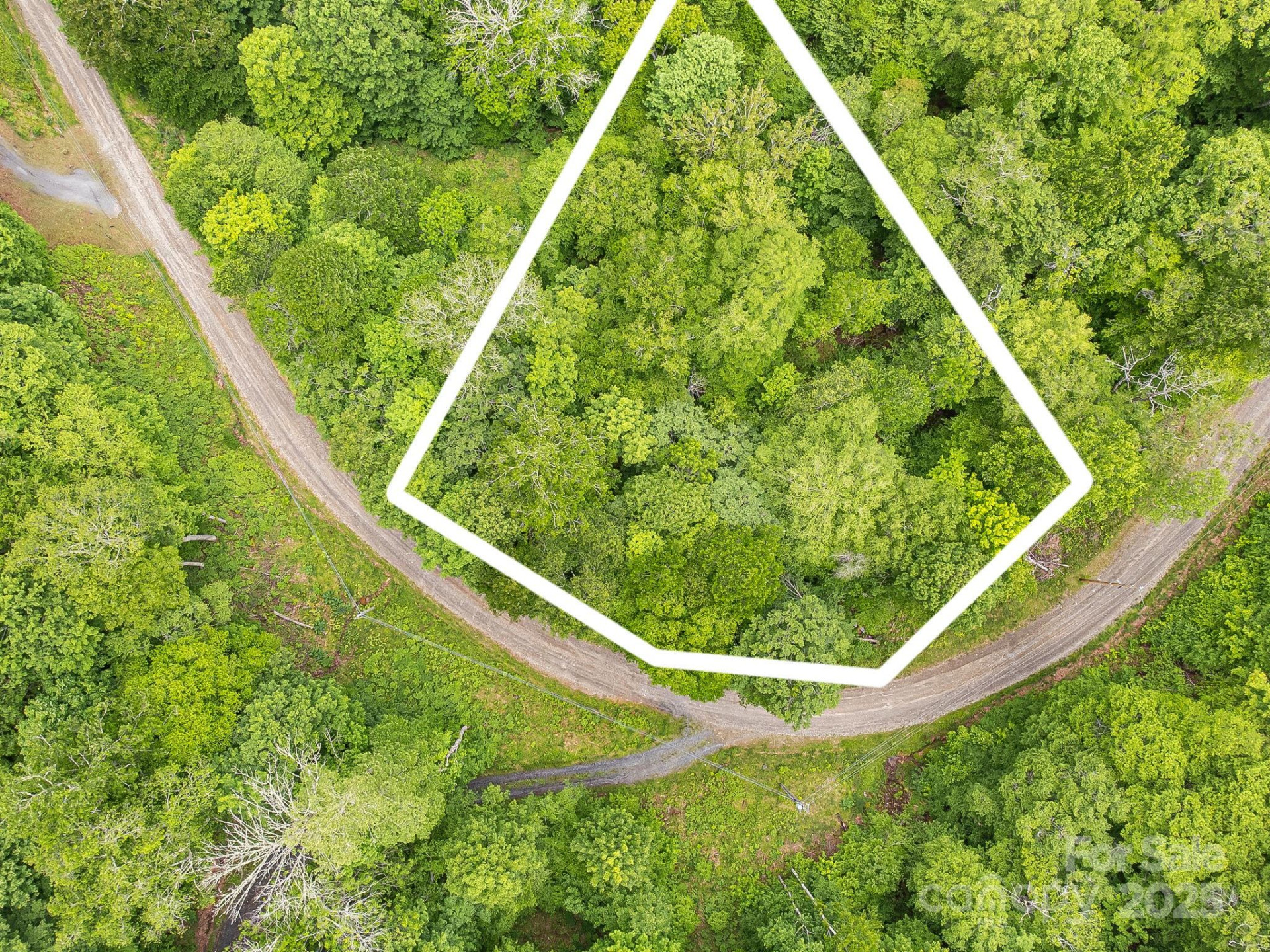 65 Bee Tree Lane - Photo 10