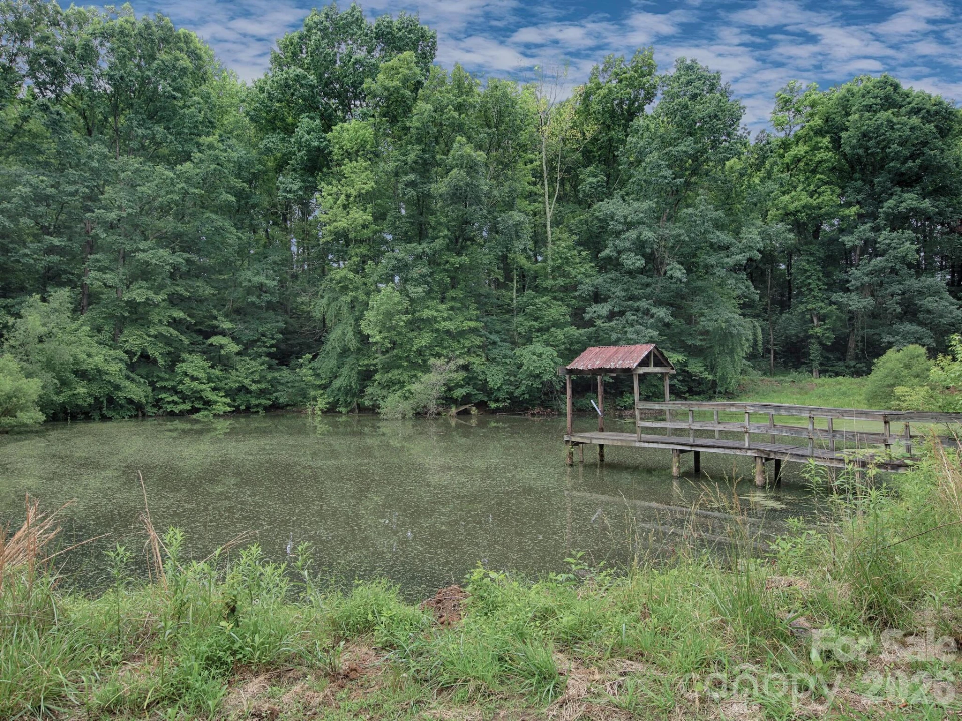 269 Johnson Dairy Road - Photo 6