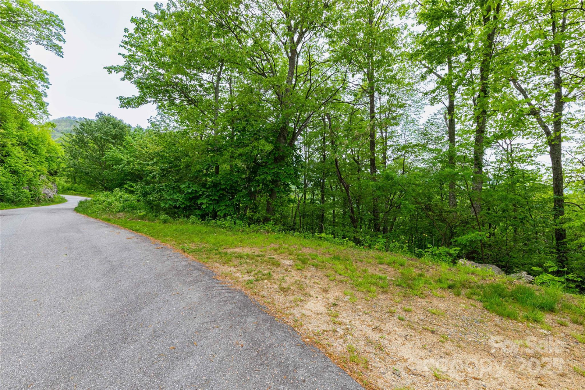 999 Mount Soma Boulevard - Photo 4