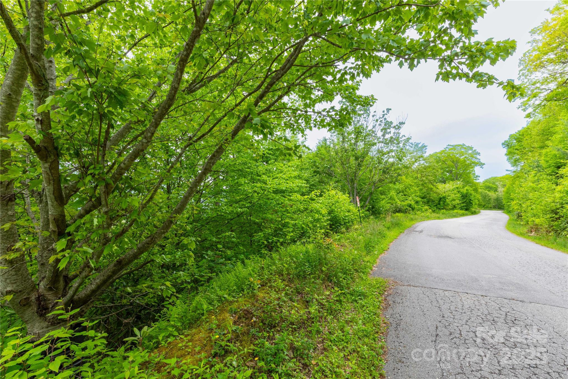 999 Mount Soma Boulevard - Photo 6