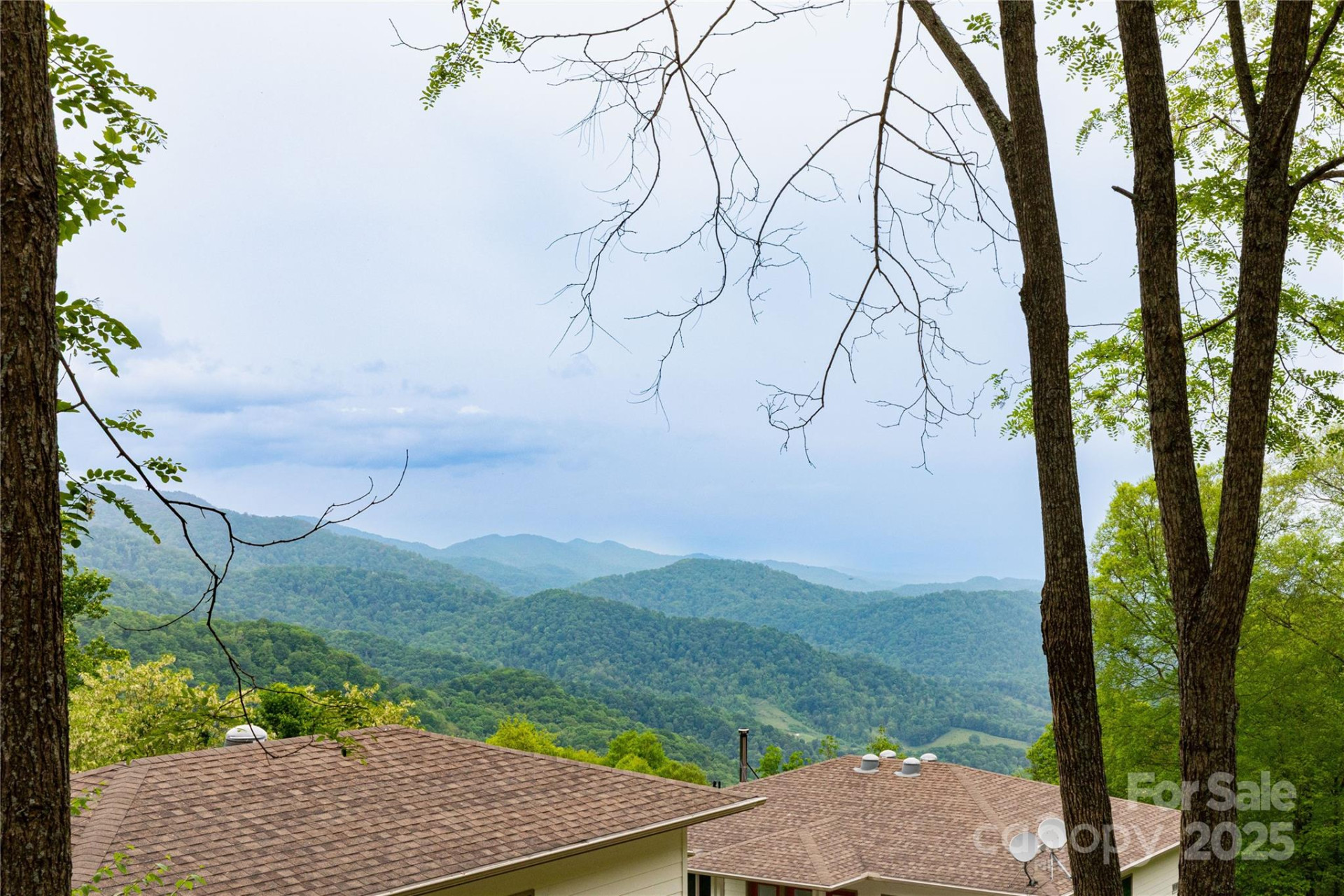 999 Mount Soma Boulevard - Photo 7