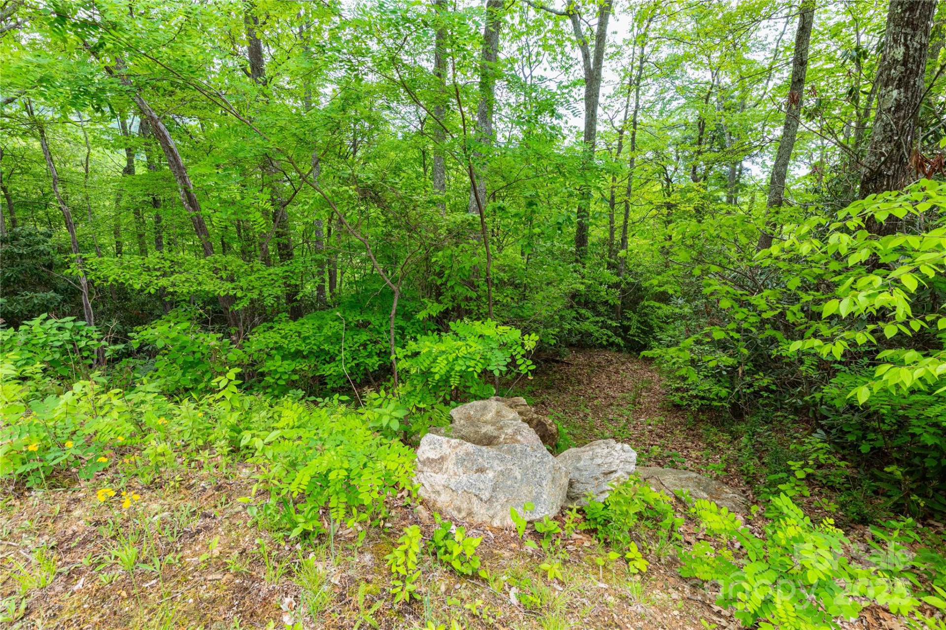 999 Mount Soma Boulevard - Photo 8