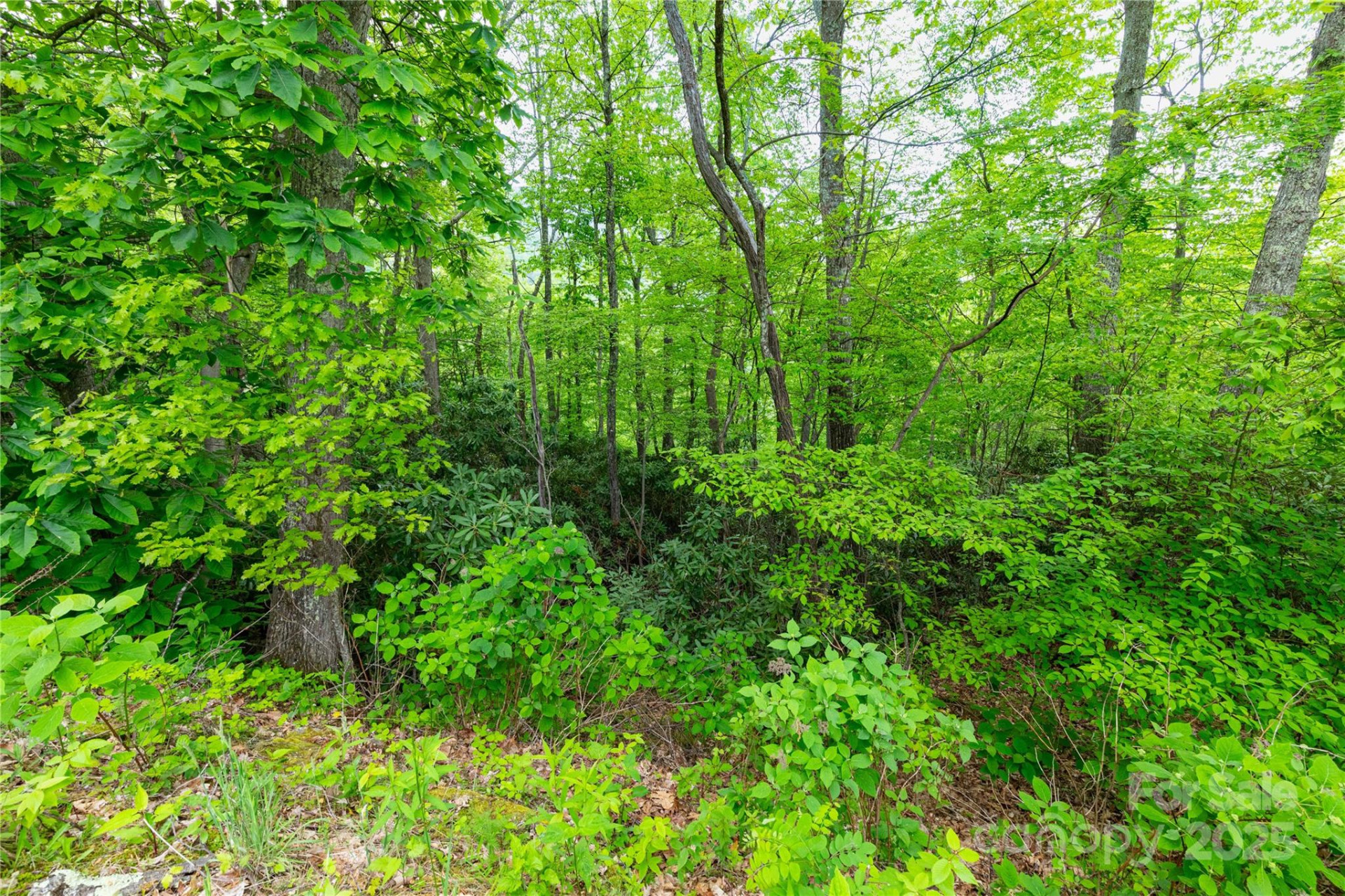 999 Mount Soma Boulevard - Photo 9