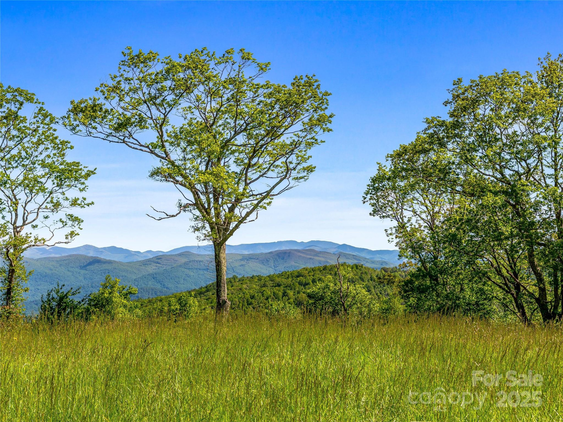 99999 Snow Ridge Drive #11 - Photo 19