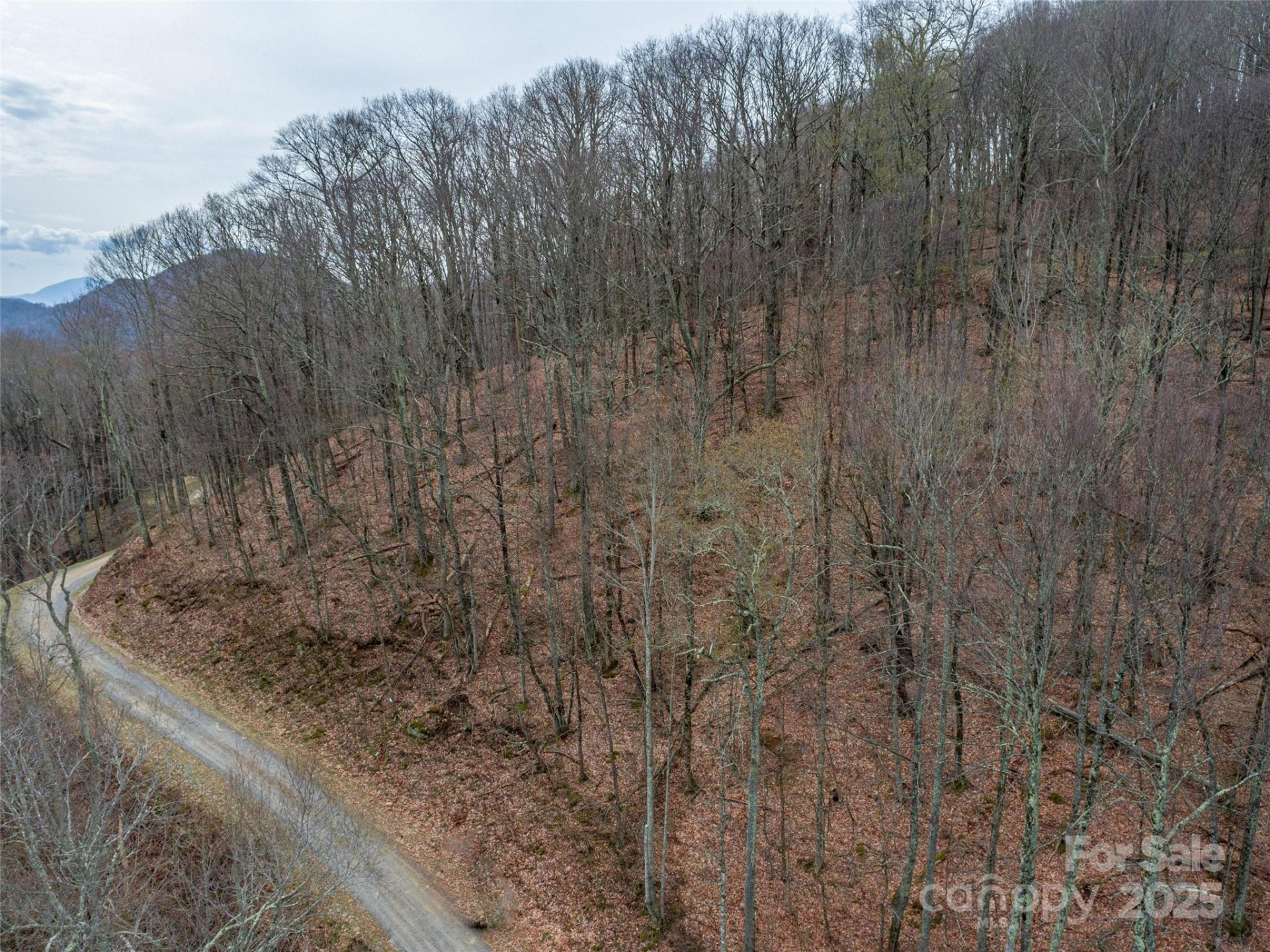 00 Chestnut Lane #100 - Photo 3