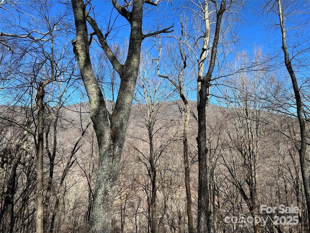 00 Chestnut Lane #100 - Photo 4