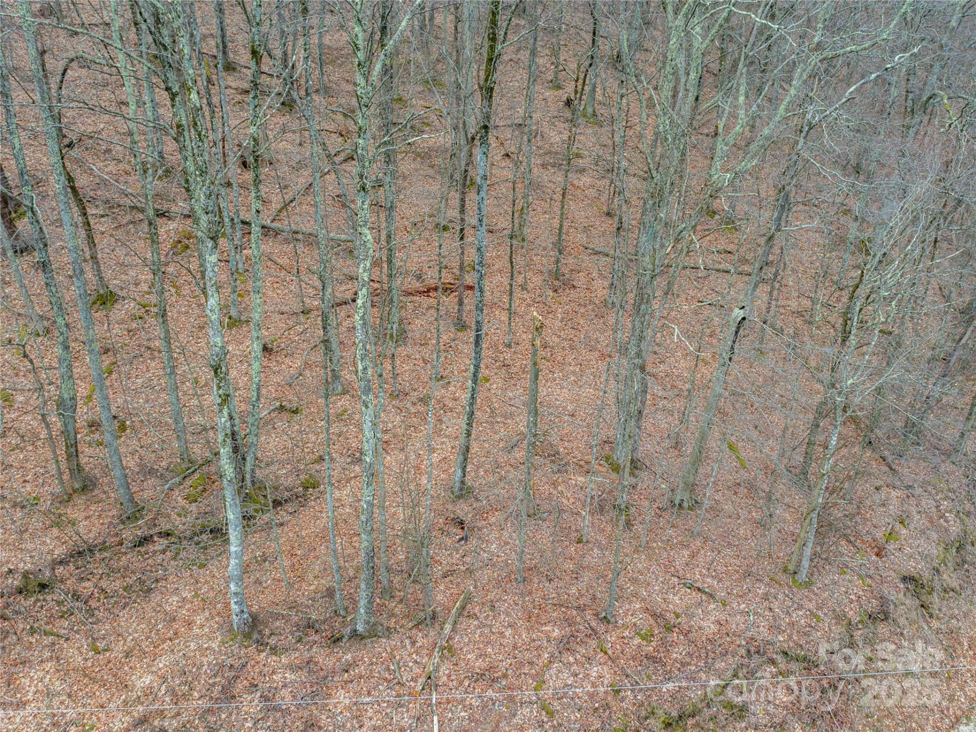00 CHESTNUT Lane #100 - Photo 5