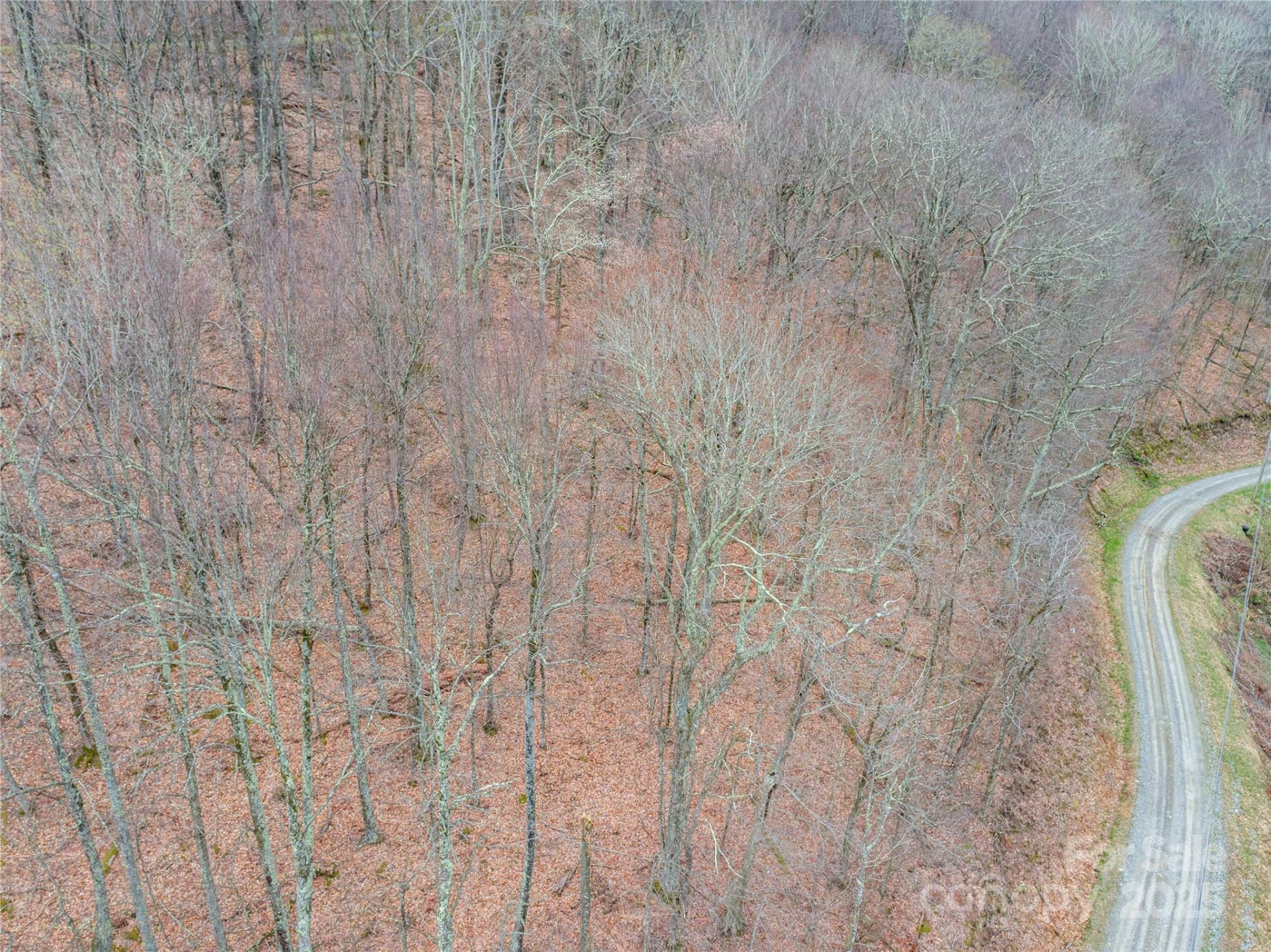 00 CHESTNUT Lane #100 - Photo 6
