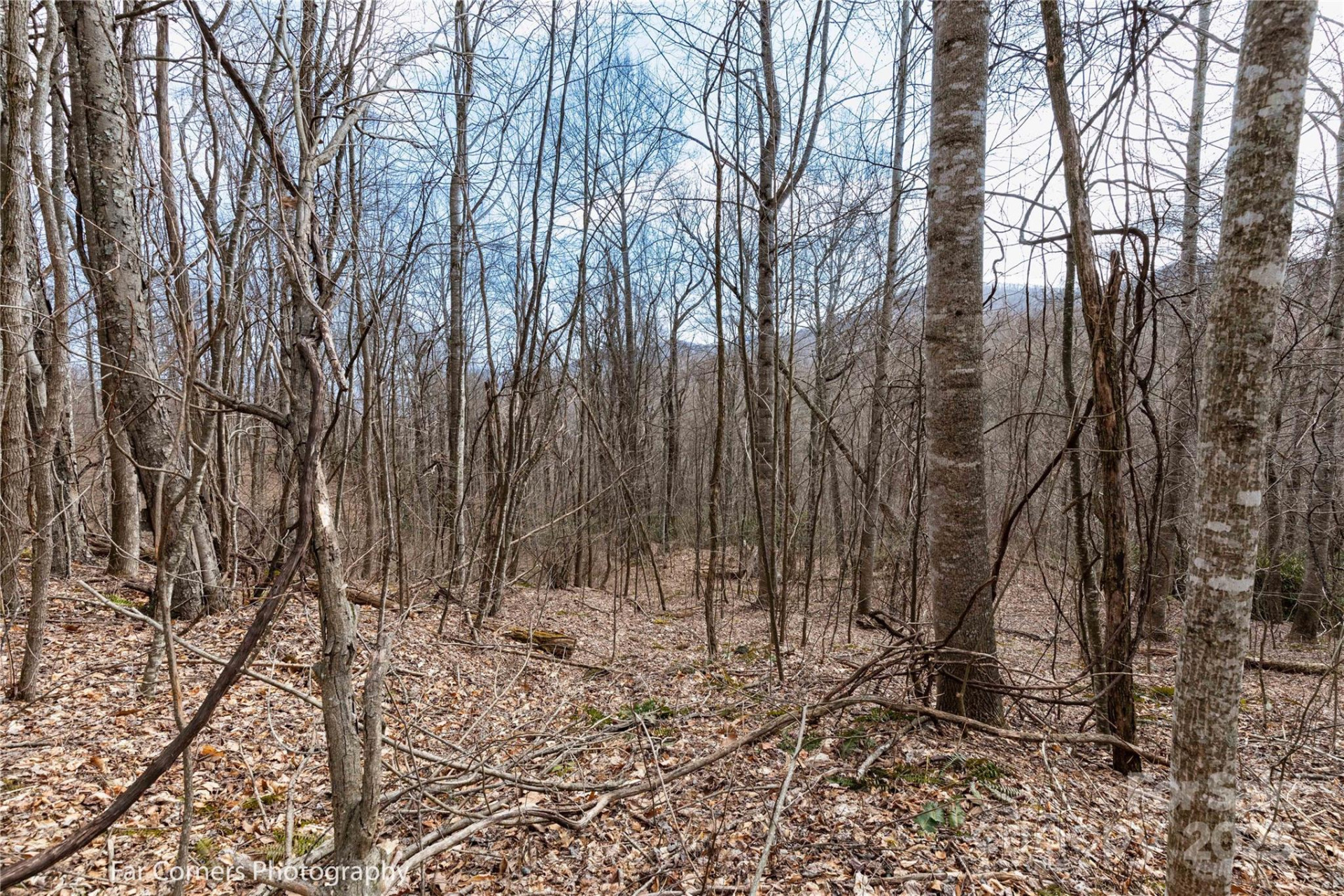 9 Chandra Lane - Photo 2