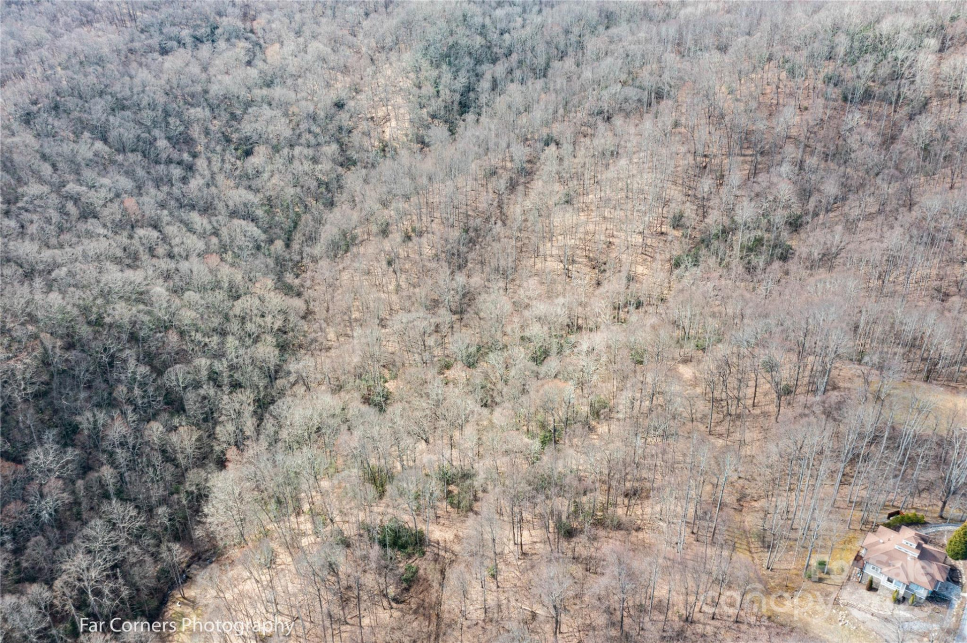 9 Chandra Lane - Photo 13