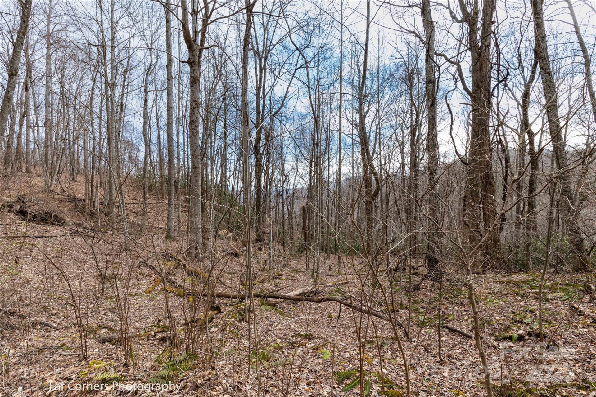 9 Chandra Lane - Photo 3