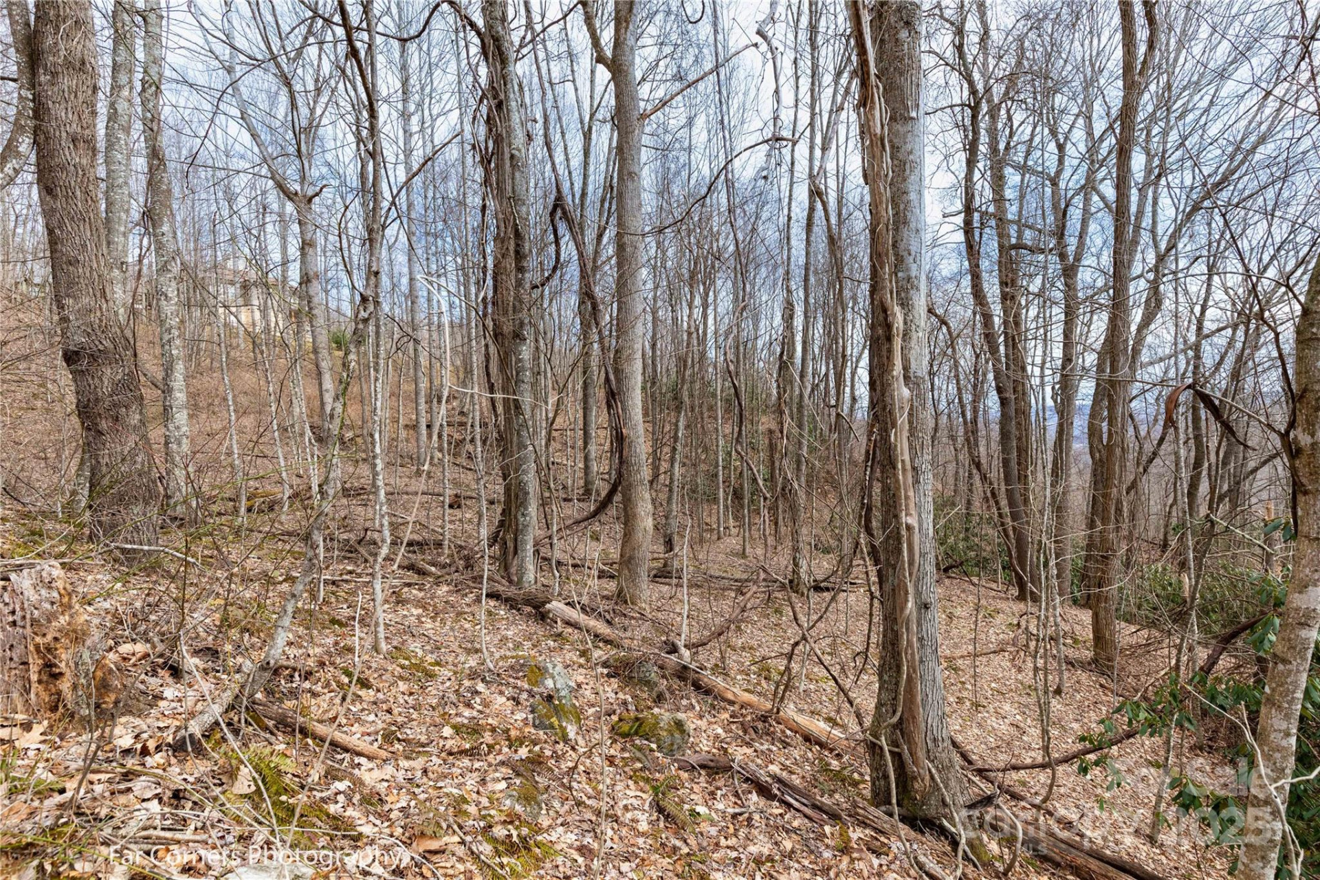 9 Chandra Lane - Photo 4