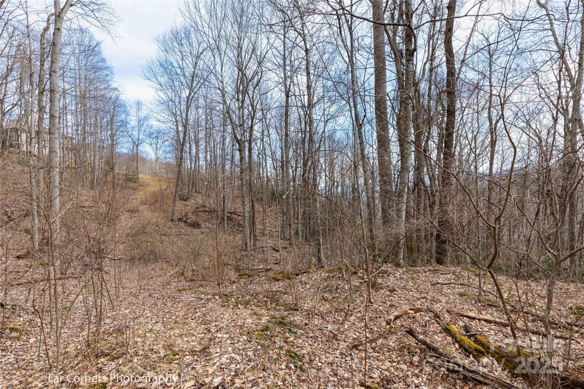 9 Chandra Lane - Photo 5