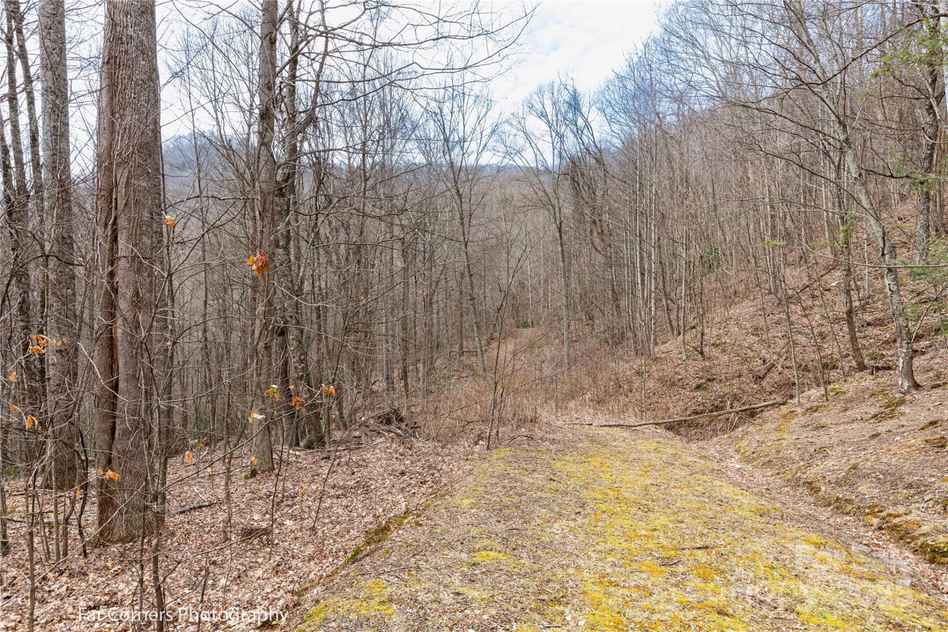 9 Chandra Lane - Photo 7