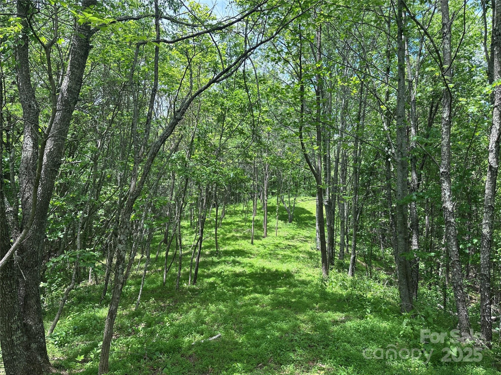 99999 Hendl Way - Photo 12