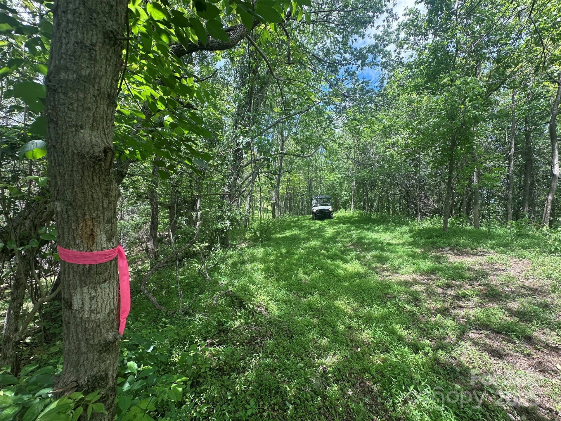 99999 Hendl Way - Photo 13