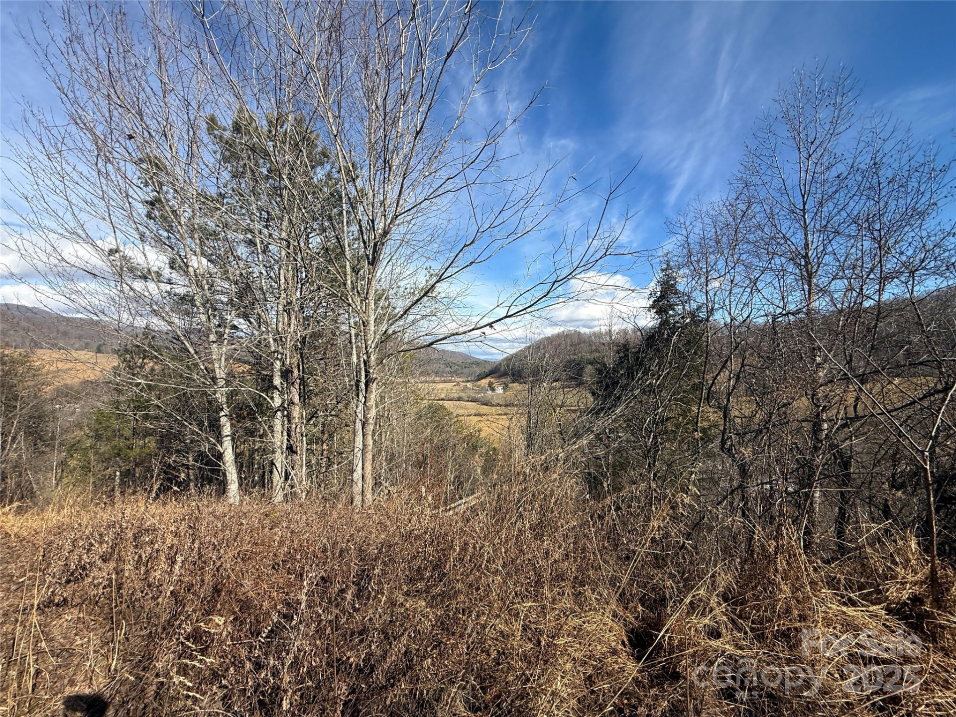 99999 Hendl Way - Photo 4