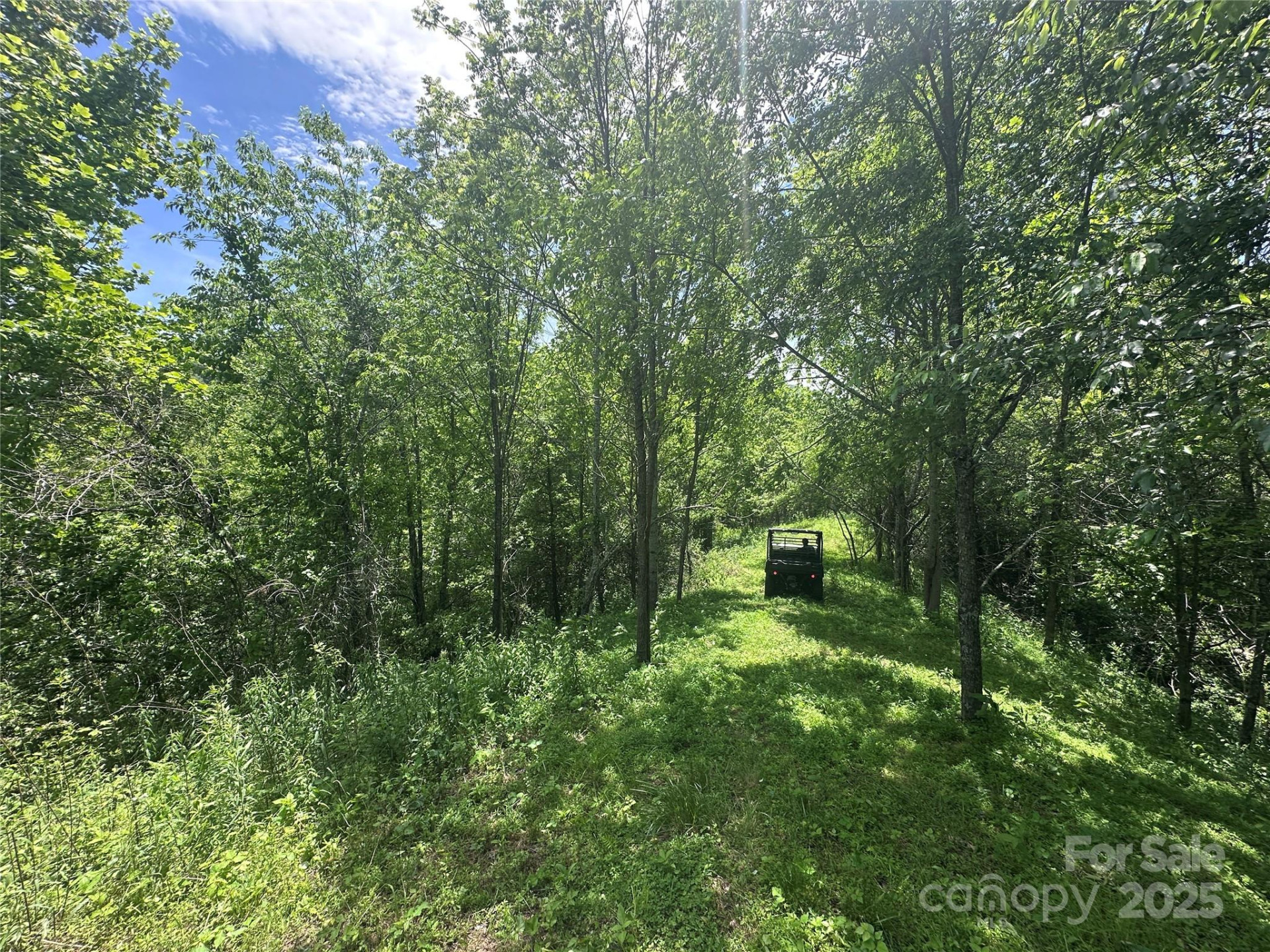 99999 Hendl Way - Photo 8