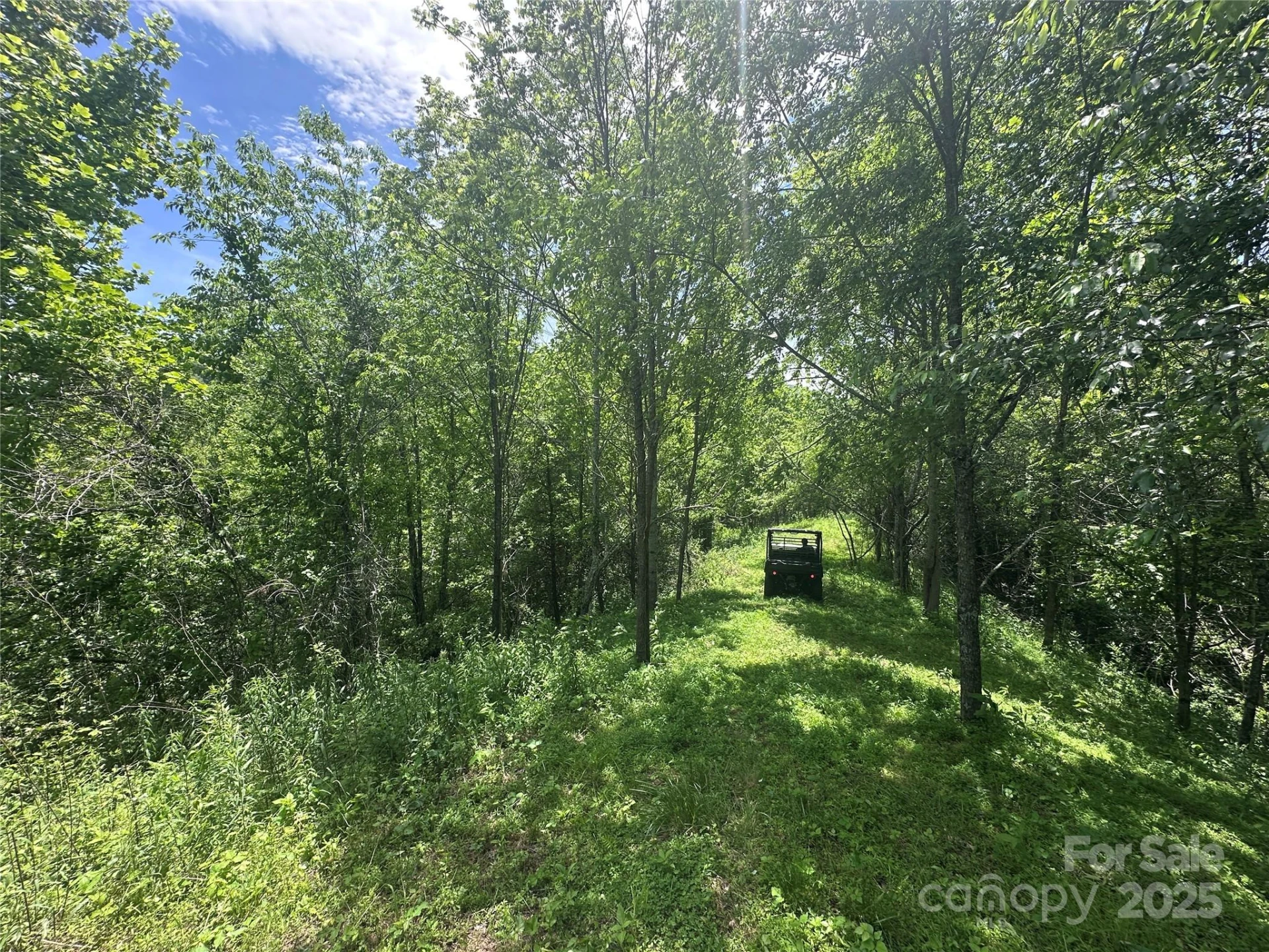 99999 Hendl Way - Photo 8