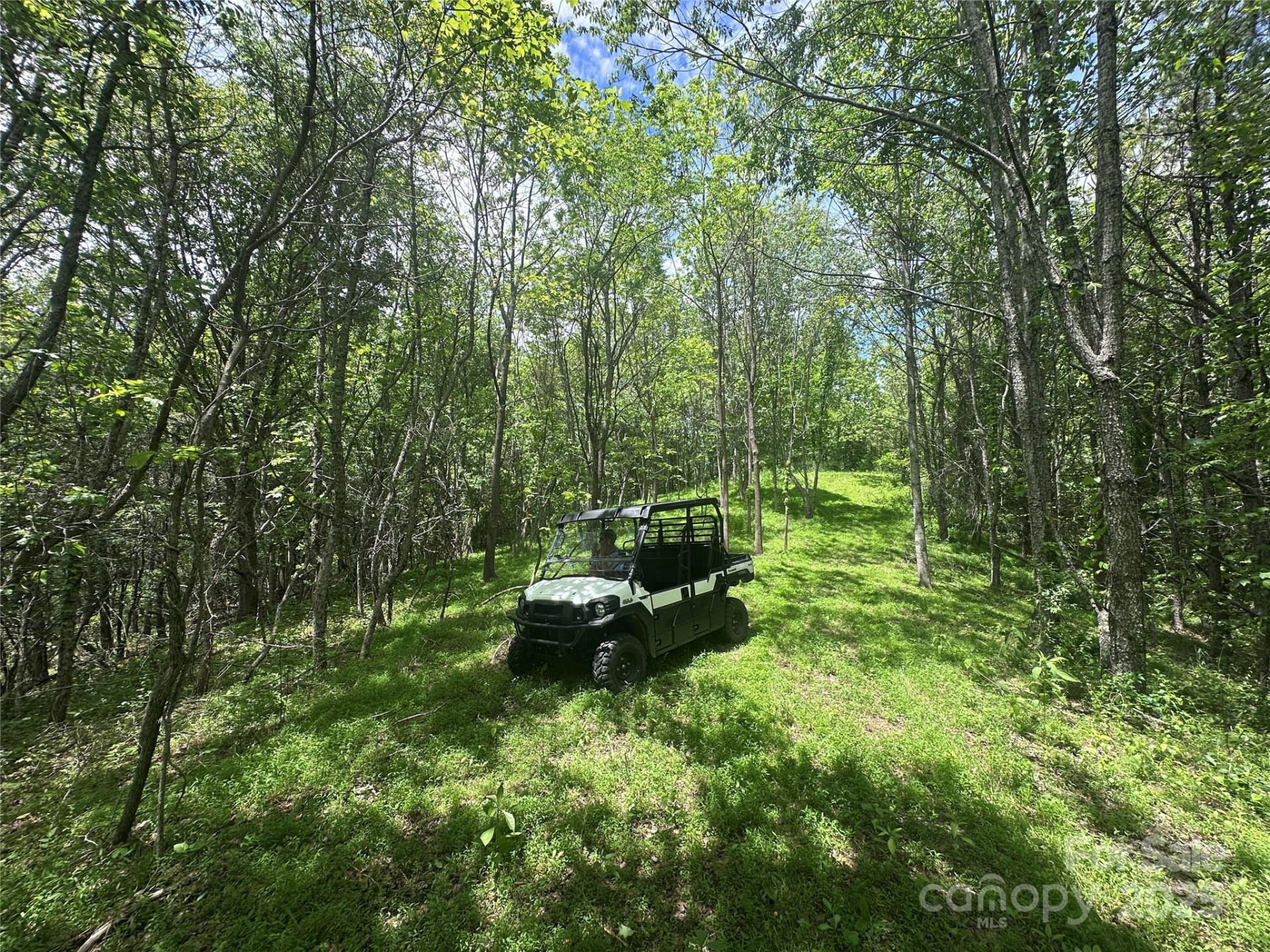 99999 Hendl Way - Photo 10