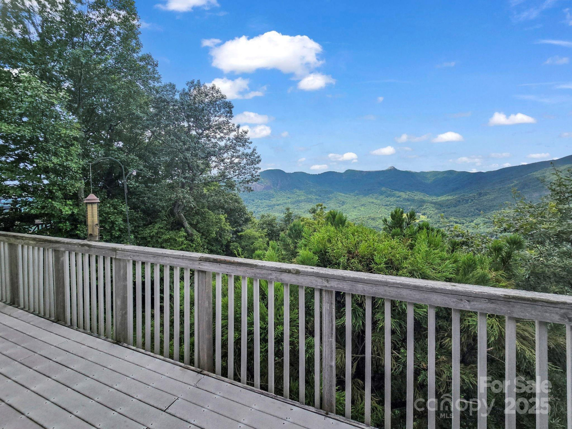 698 Youngs Mountain Drive - Photo 32