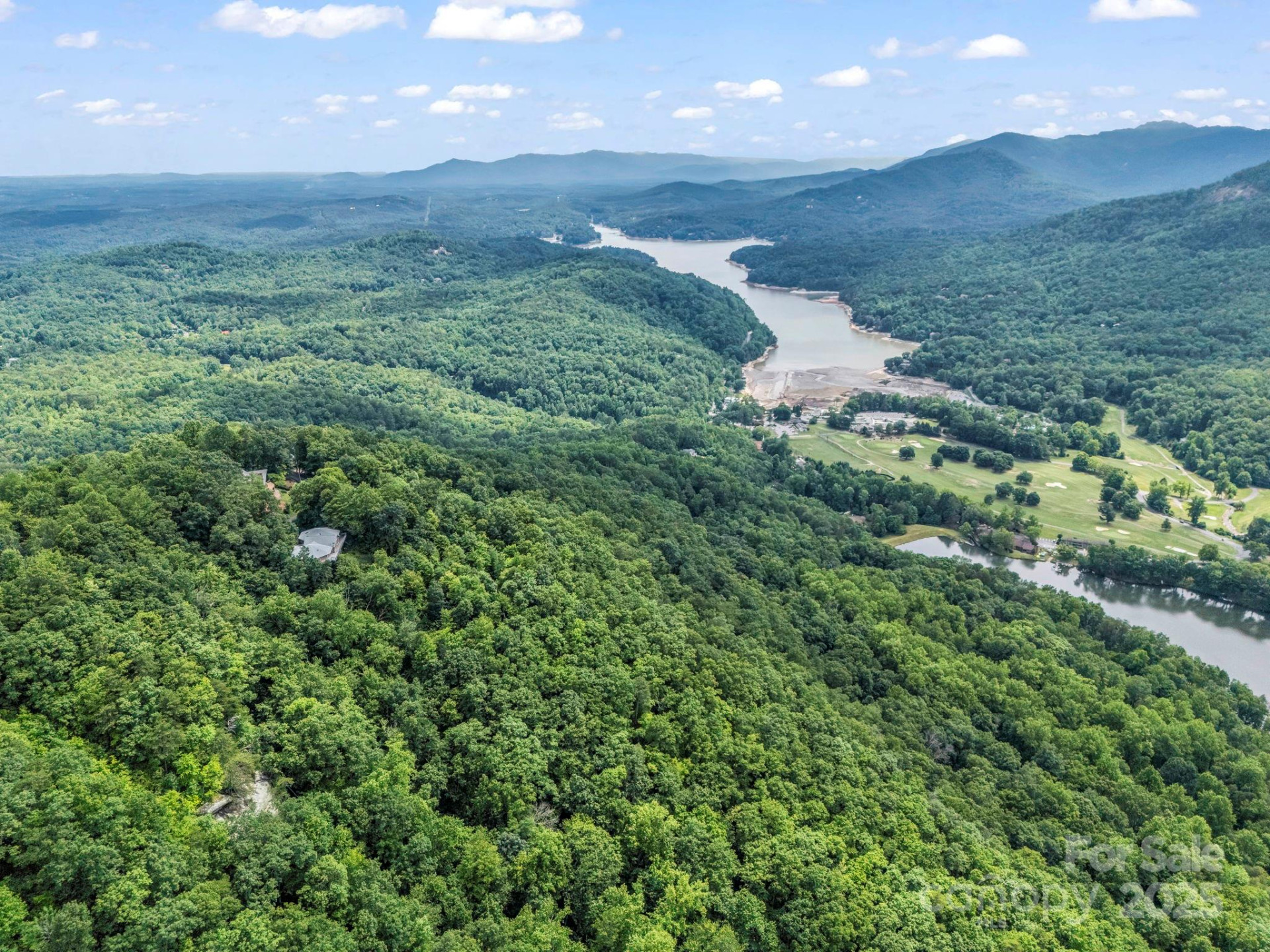 698 Youngs Mountain Drive - Photo 8
