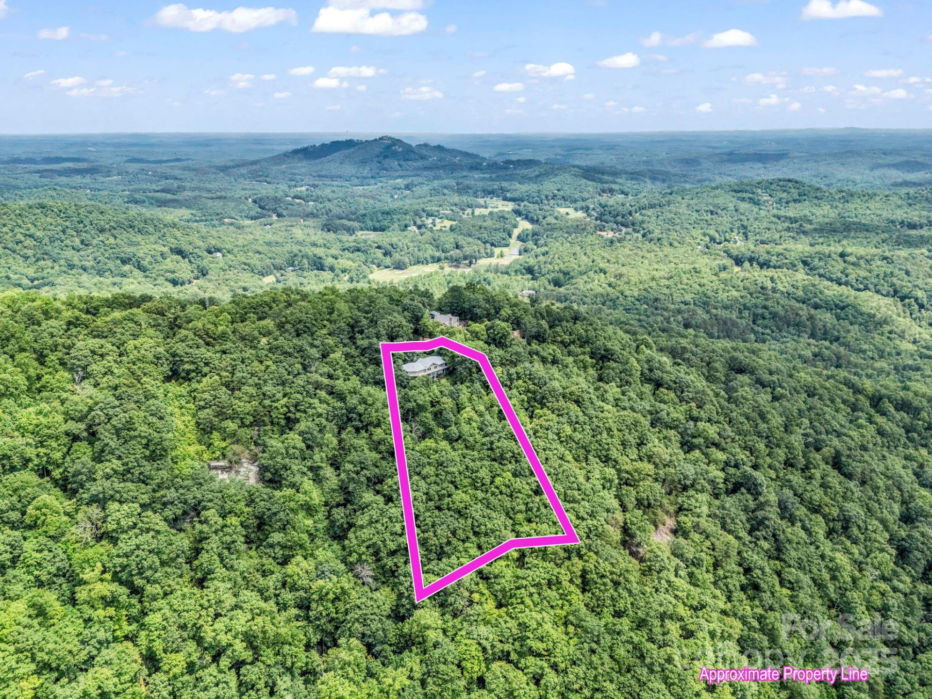 698 Youngs Mountain Drive - Photo 9