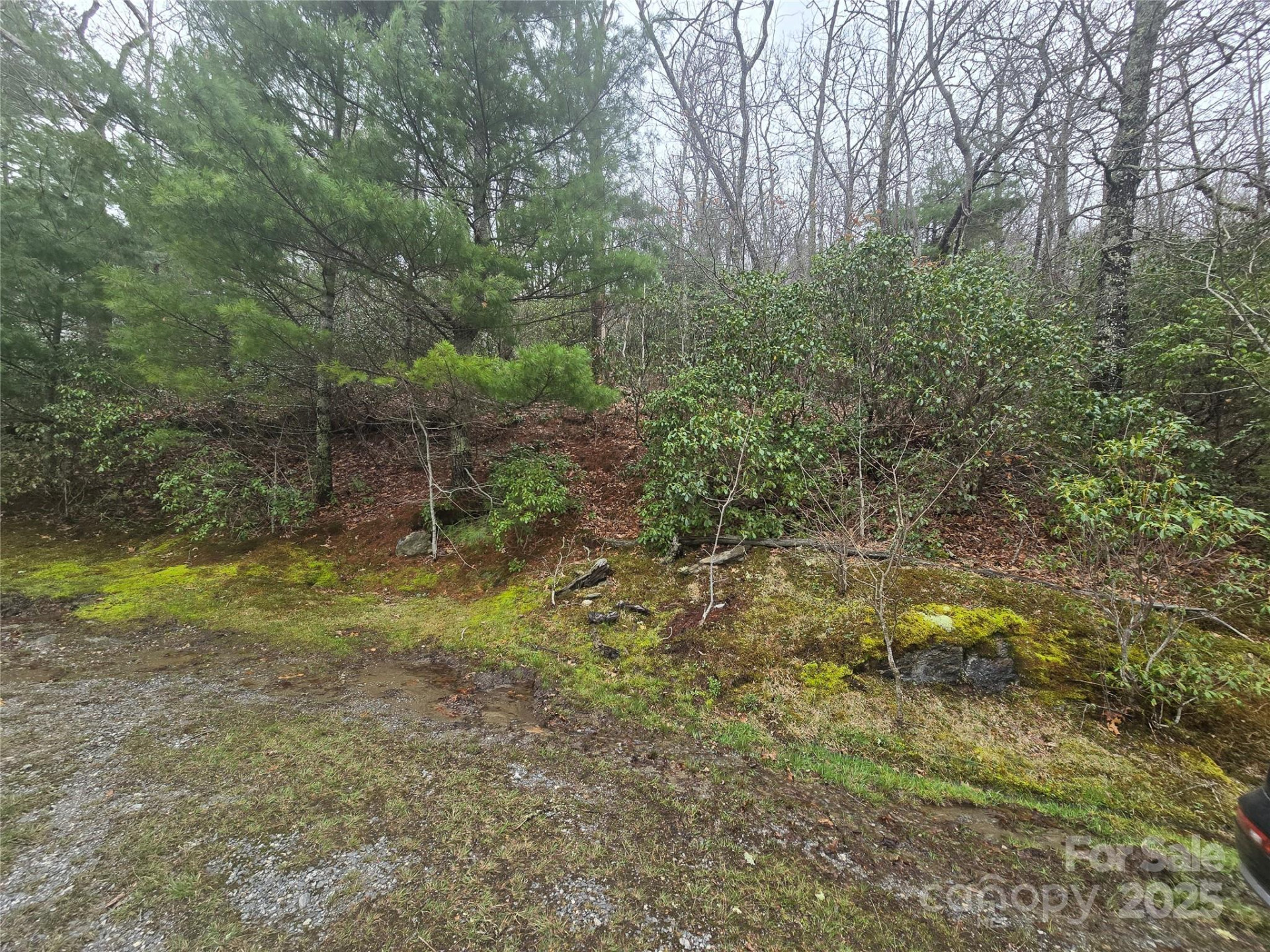 Lot 15 Shirley Pressley Road #15 - Photo 12