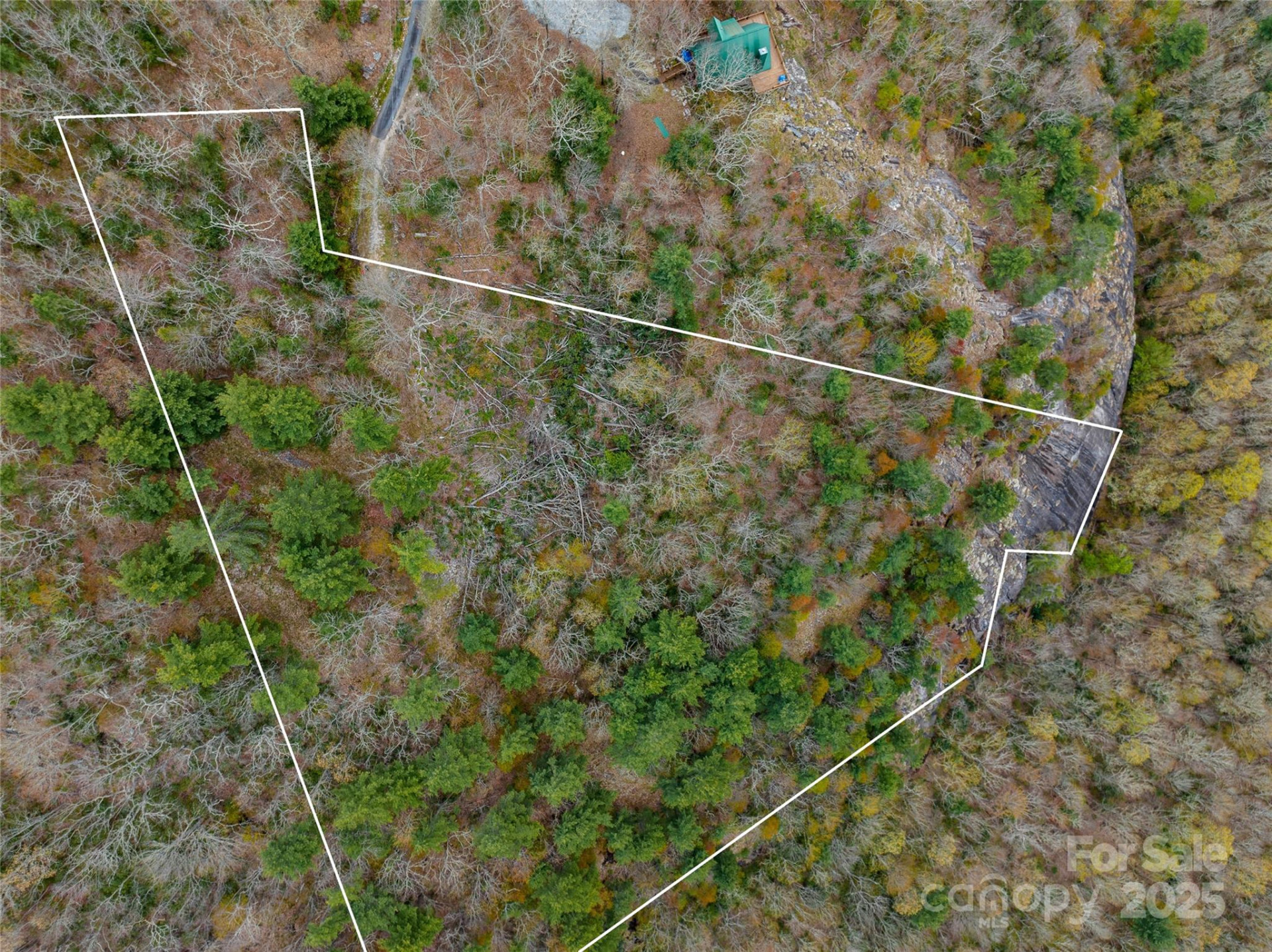 Lot 15 Shirley Pressley Road #15 - Photo 14