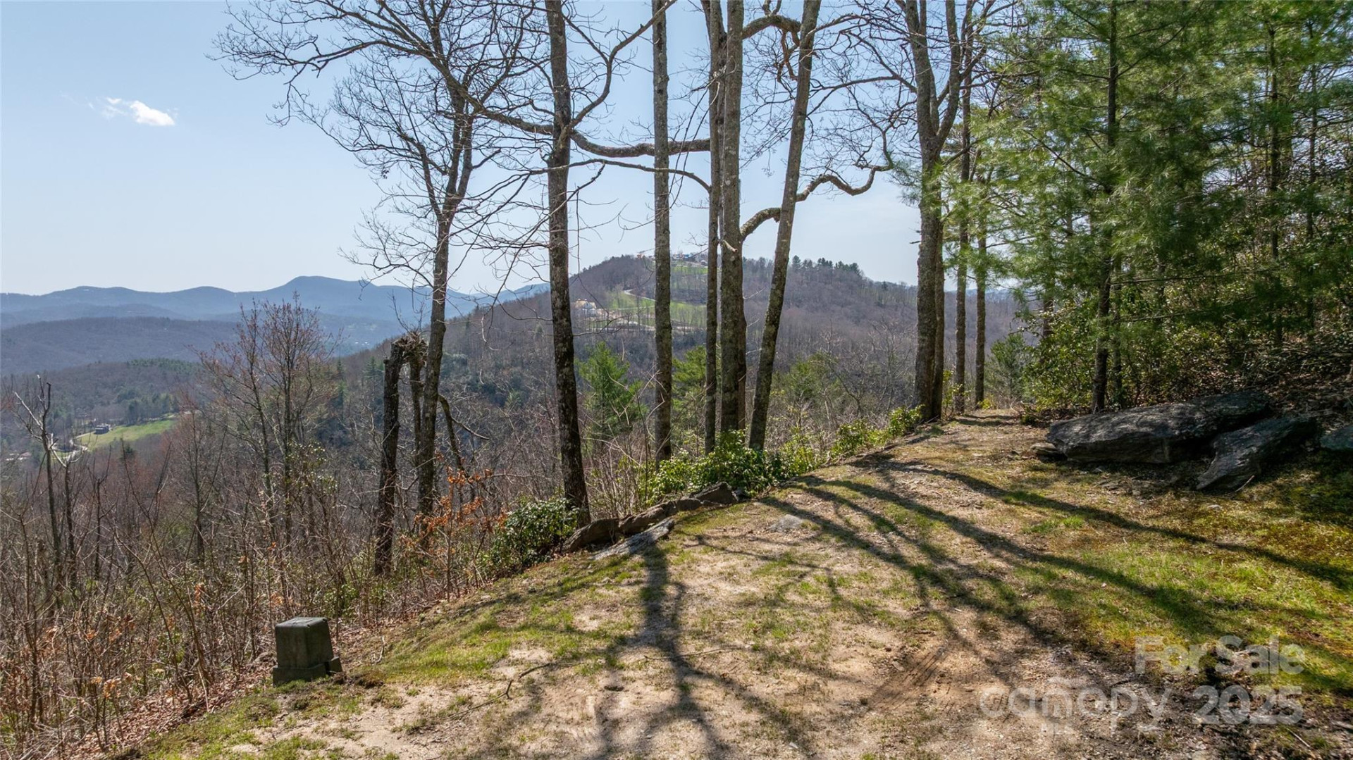 Lot 15 Shirley Pressley Road #15 - Photo 4