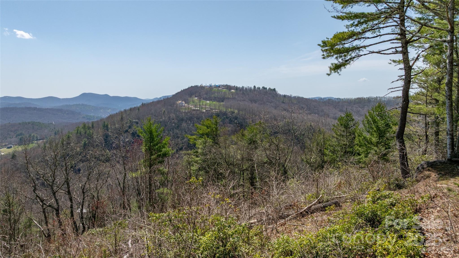 Lot 15 Shirley Pressley Road #15 - Photo 5