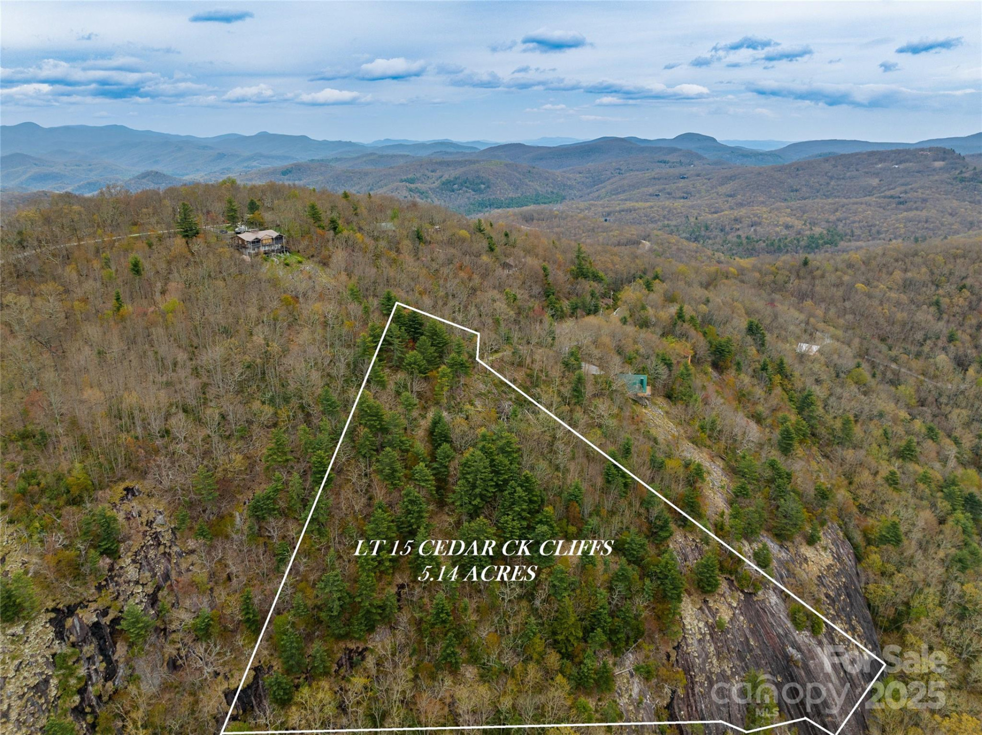 Lot 15 Shirley Pressley Road #15 - Photo 6