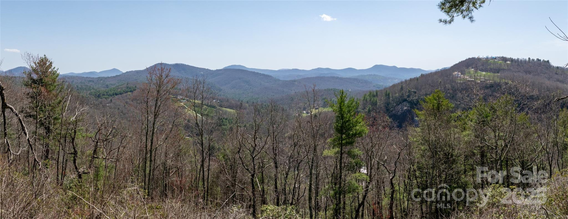 Lot 15 Shirley Pressley Road #15 - Photo 7