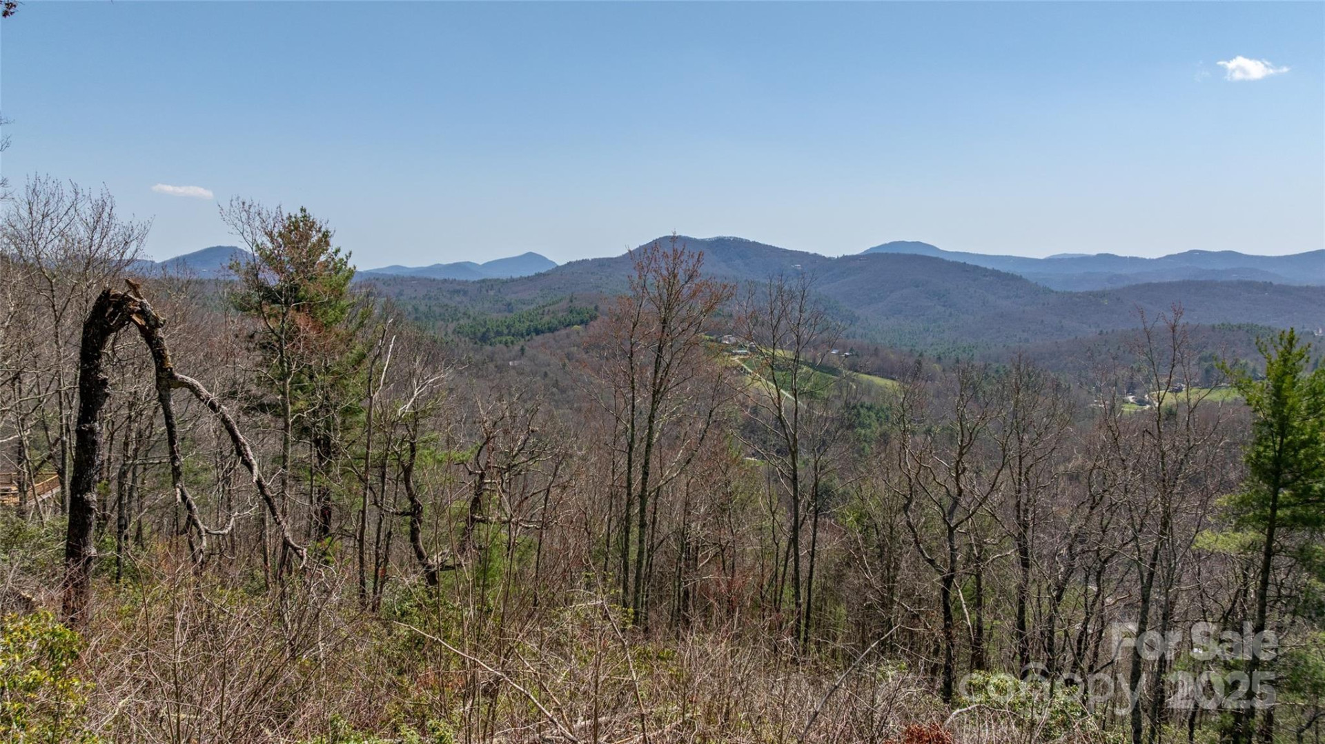 Lot 15 Shirley Pressley Road #15 - Photo 8