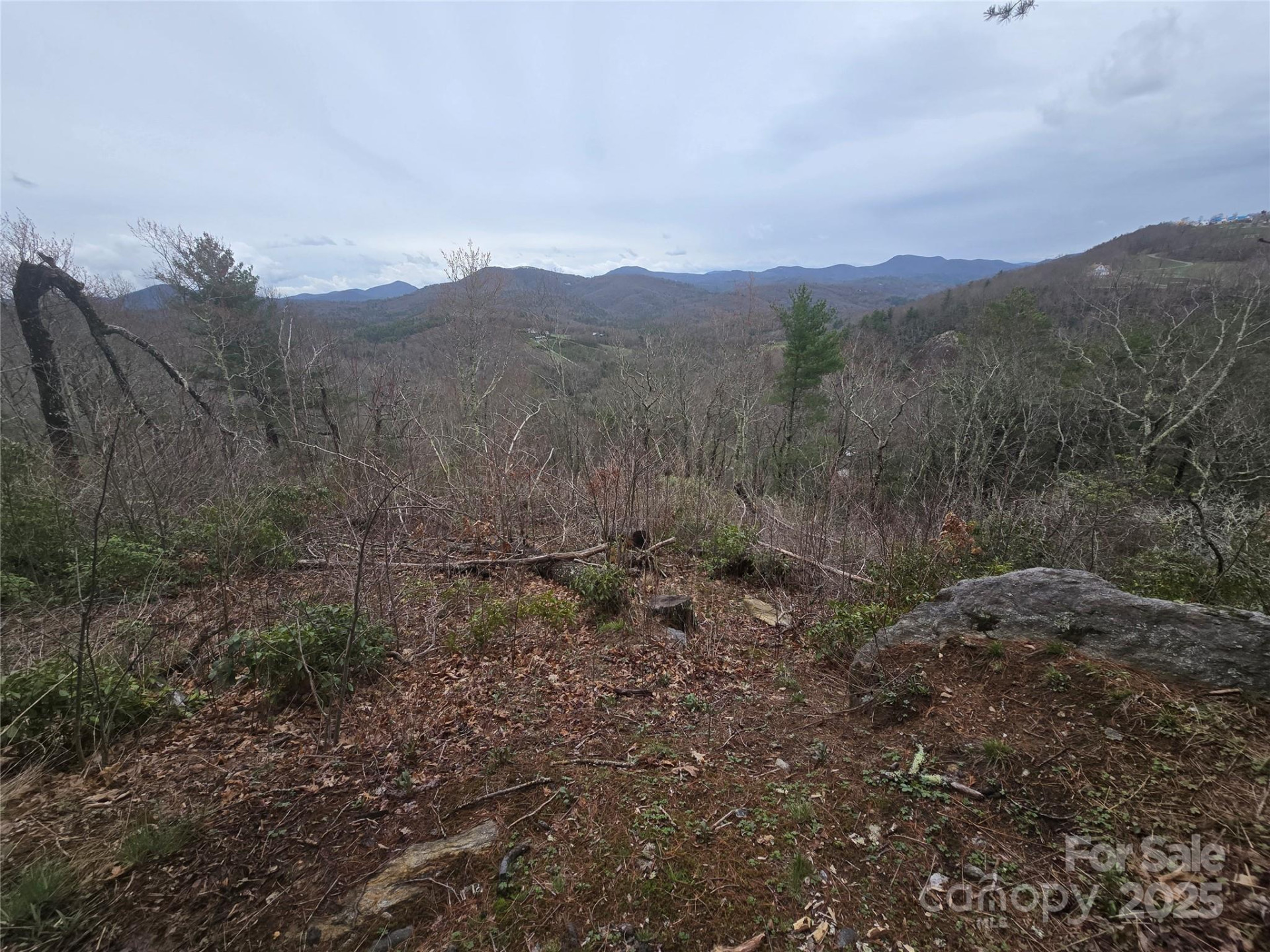 Lot 15 Shirley Pressley Road #15 - Photo 9