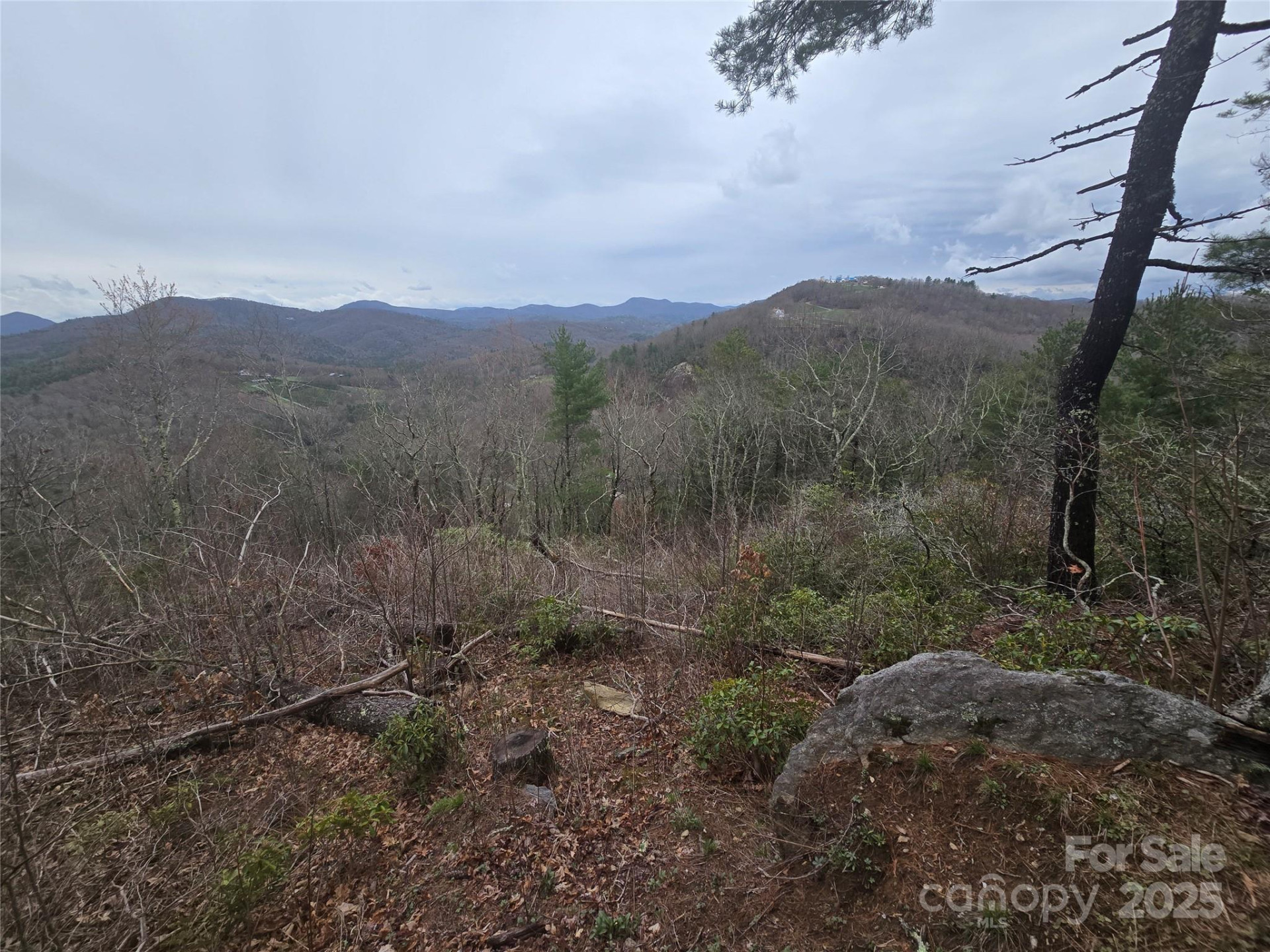 Lot 15 Shirley Pressley Road #15 - Photo 10