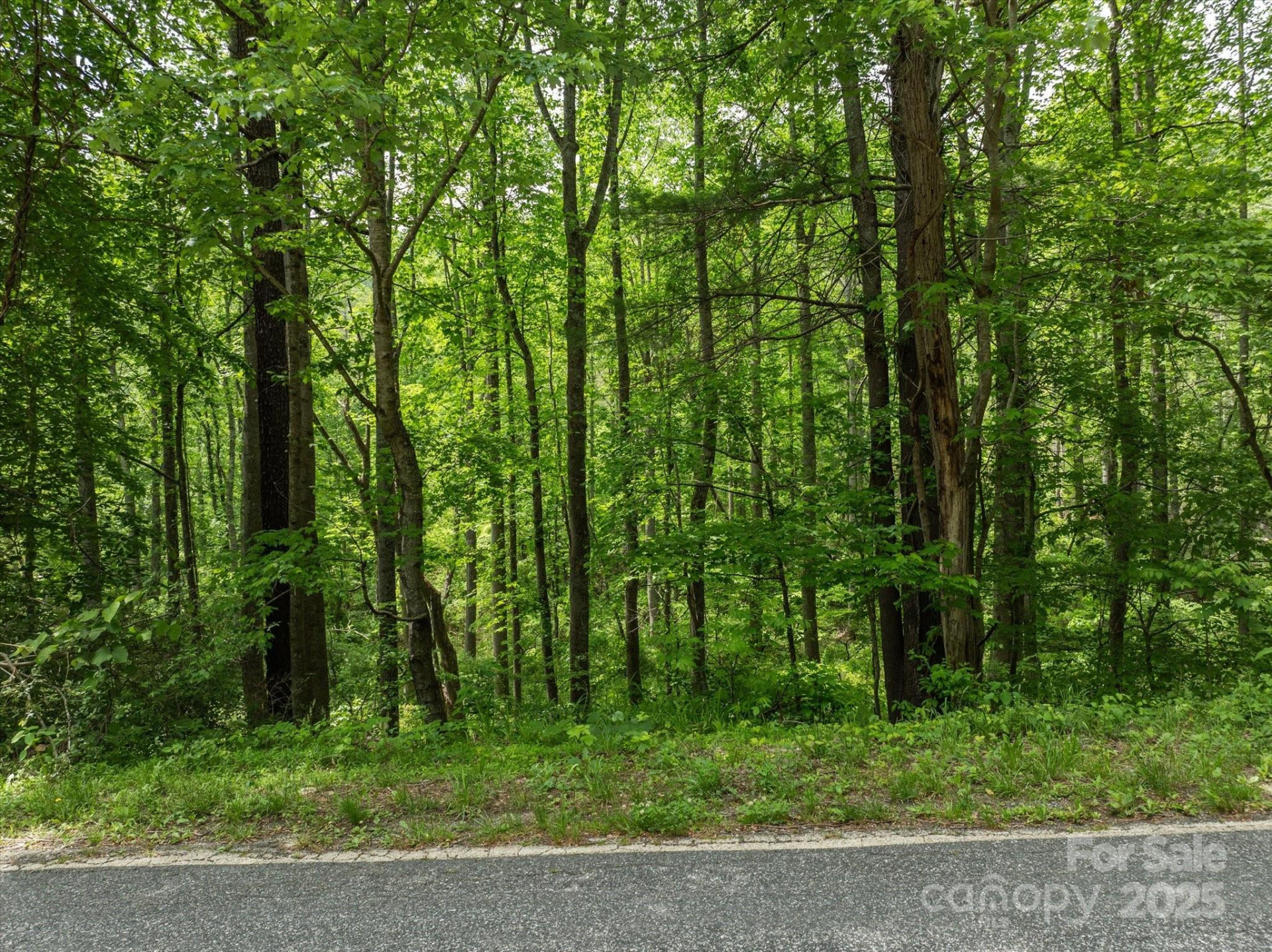 99999 Moody Cove Road #1 - Photo 4