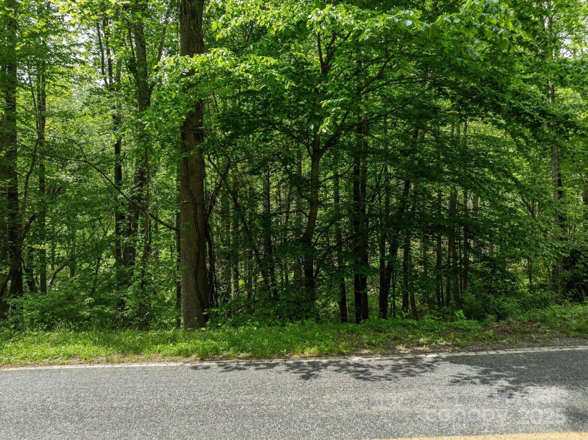 99999 Moody Cove Road #1 - Photo 6