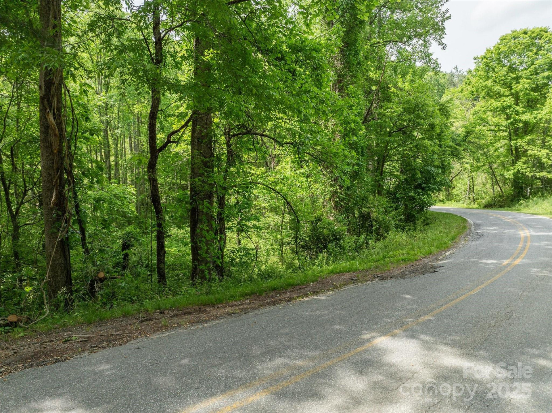 99999 Moody Cove Road #1 - Photo 7