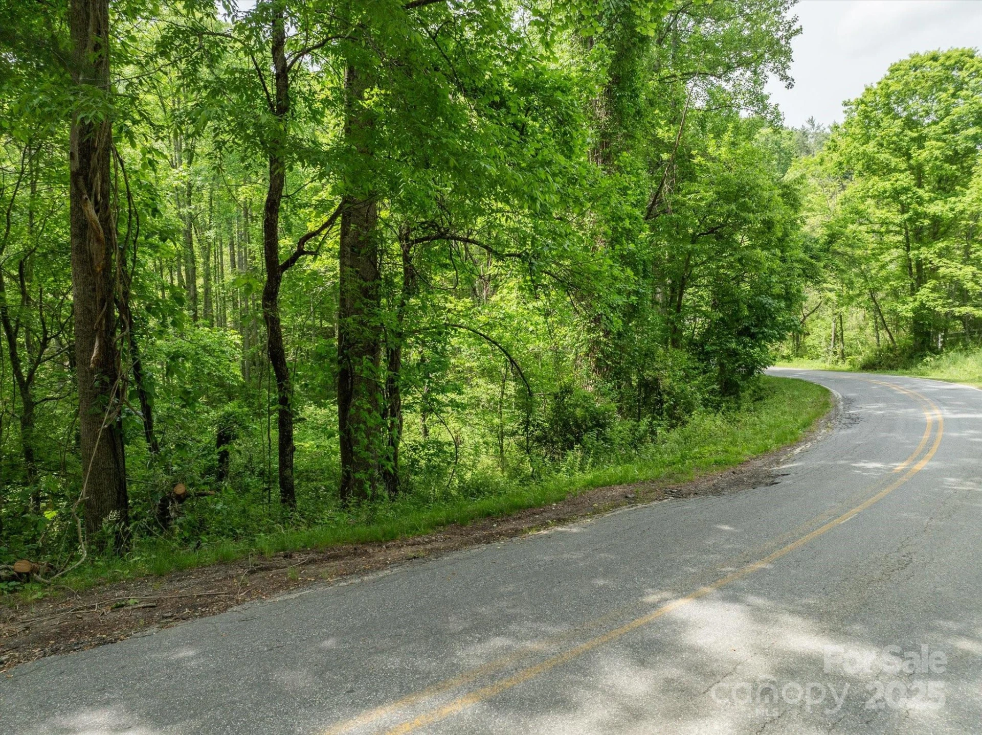 99999 Moody Cove Road #1 - Photo 7