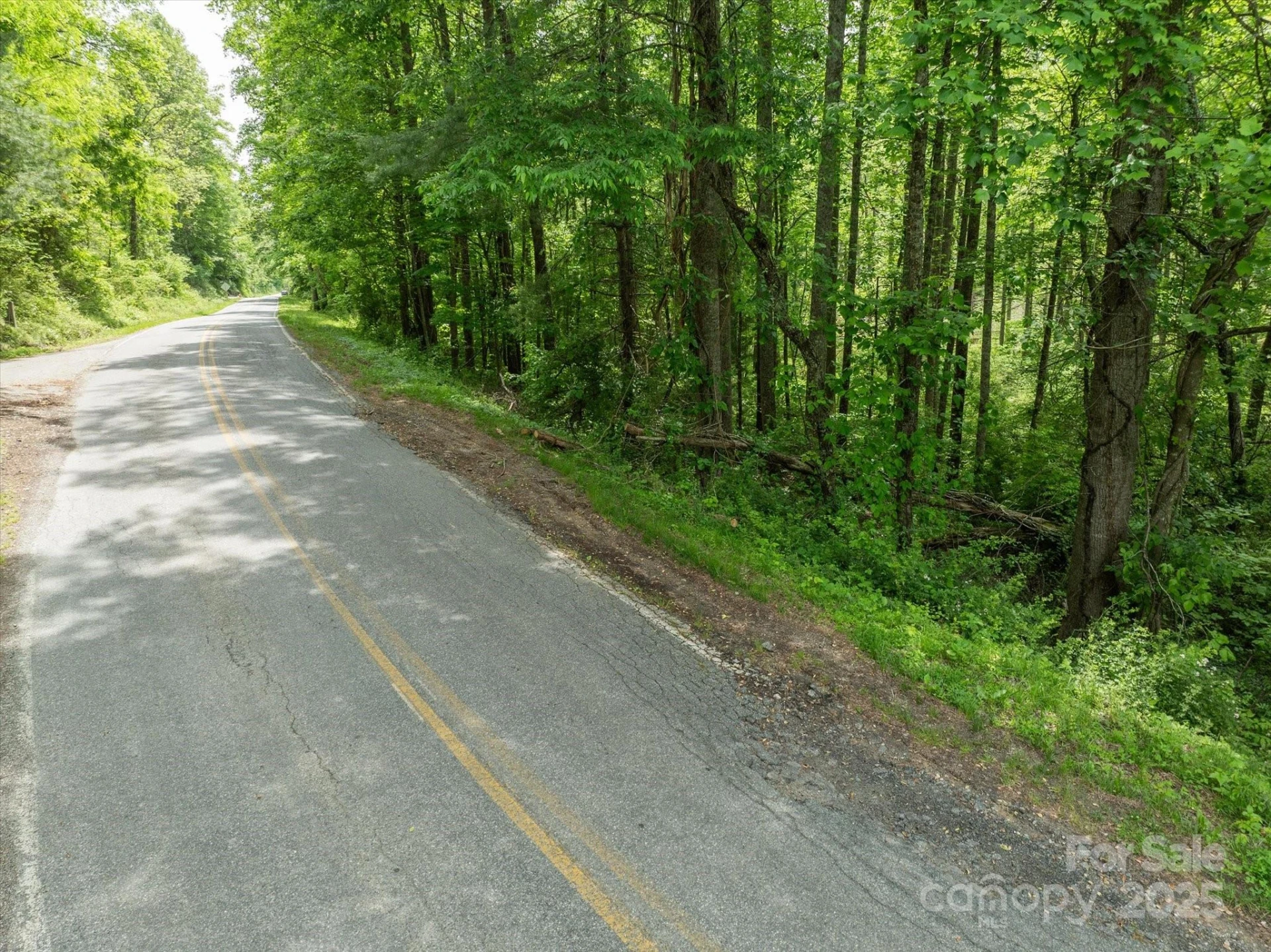 99999 Moody Cove Road #1 - Photo 8