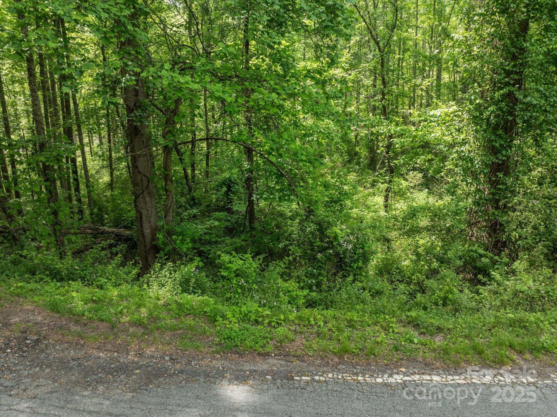 99999 Moody Cove Road #1 - Photo 9