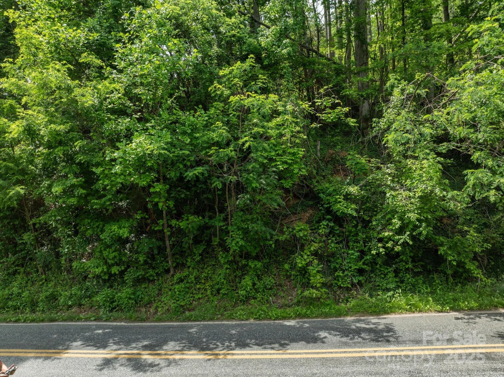 99999 Moody Cove Road #2 - Photo 12