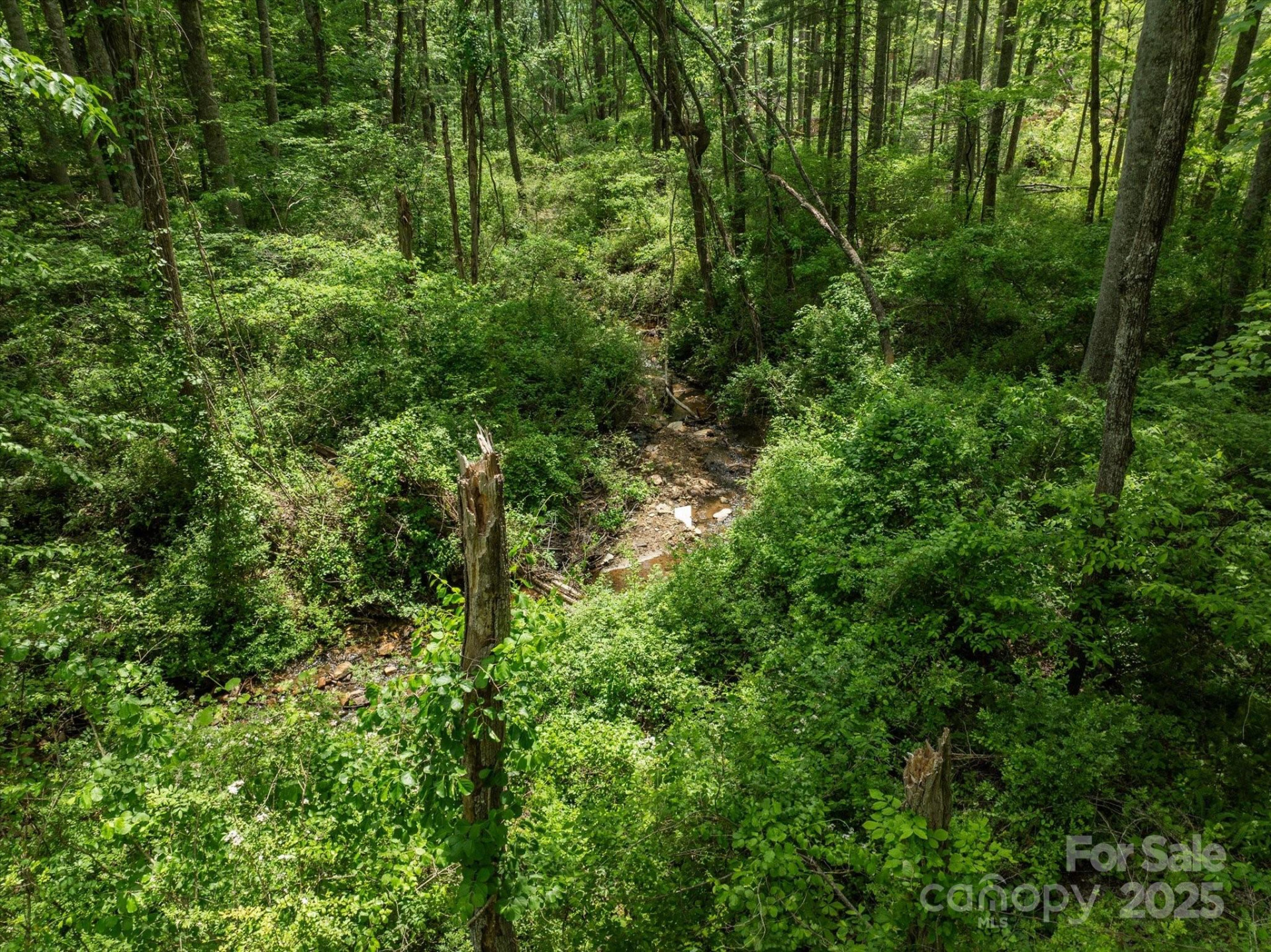 99999 Moody Cove Road #2 - Photo 14