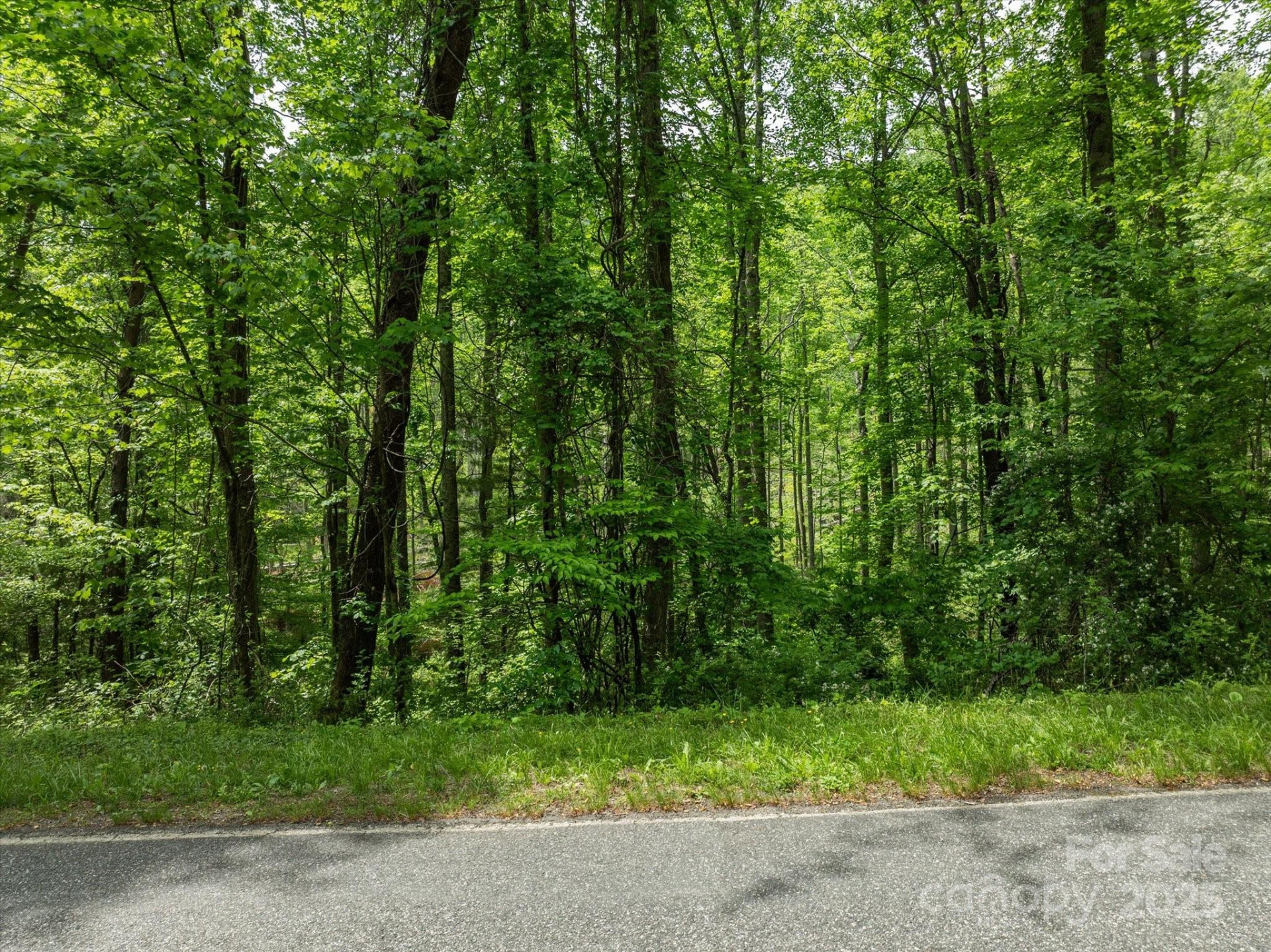 99999 Moody Cove Road #2 - Photo 5