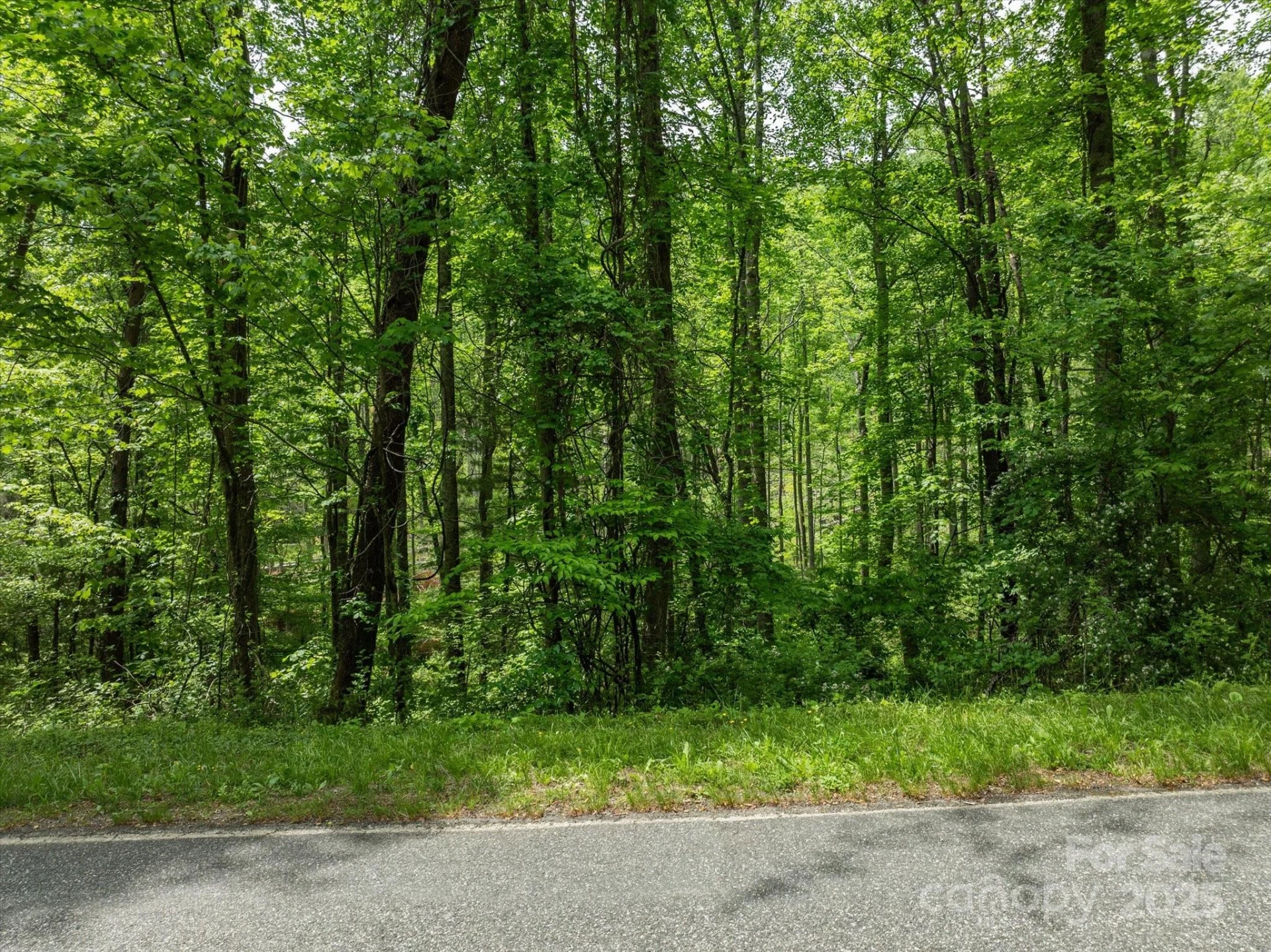 99999 Moody Cove Road #2 - Photo 5