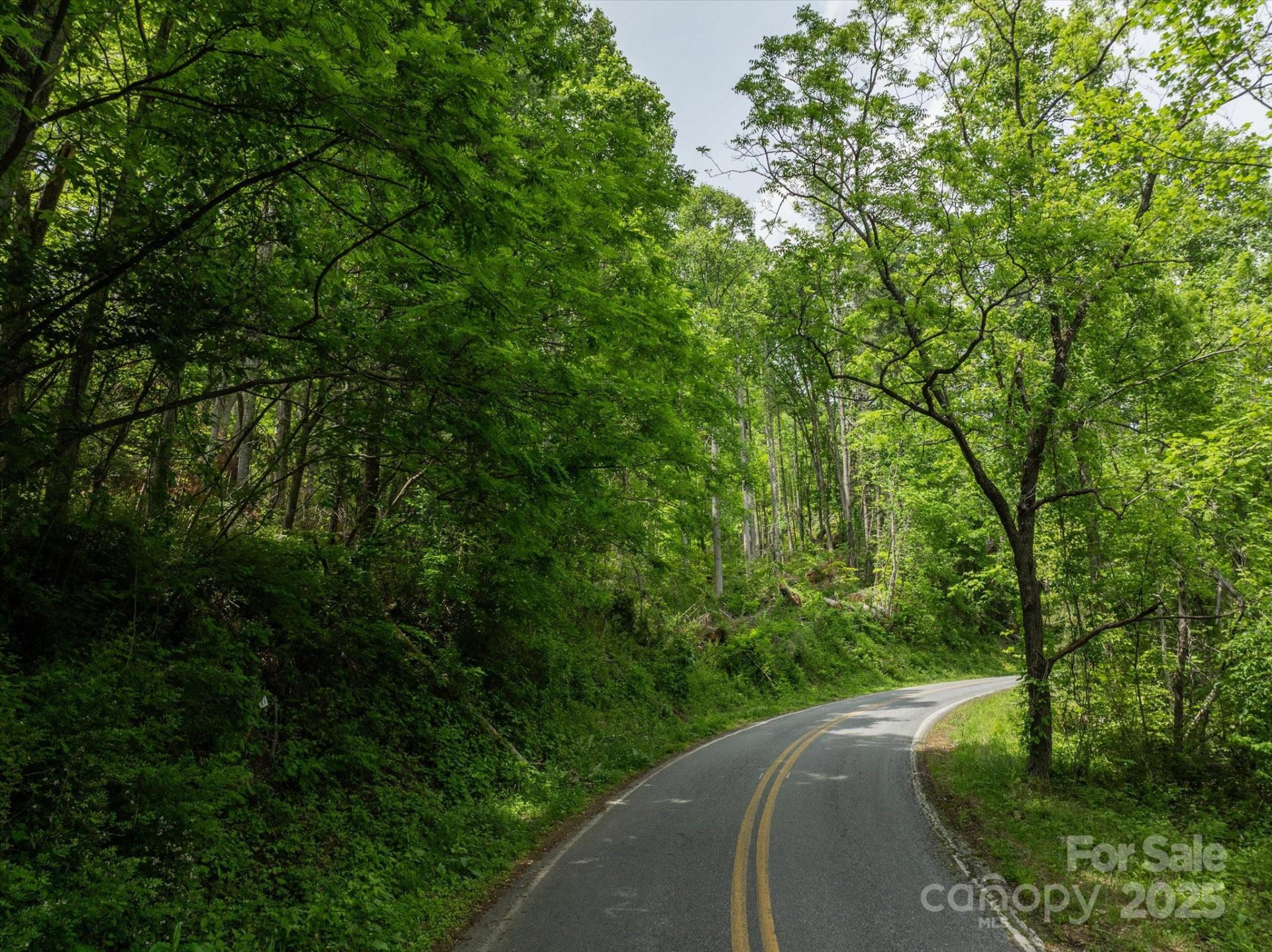 99999 Moody Cove Road #2 - Photo 7