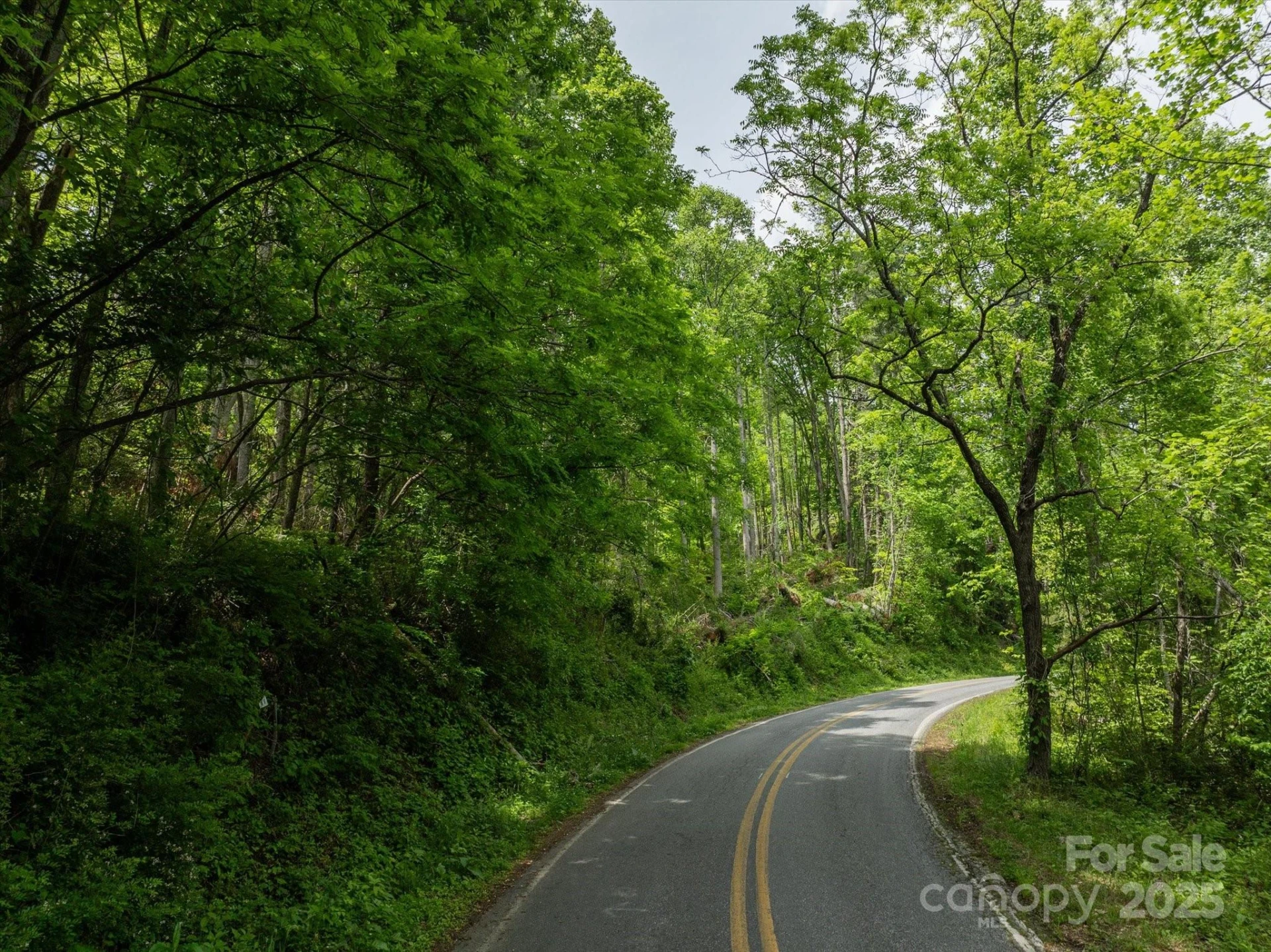 99999 Moody Cove Road #2 - Photo 7